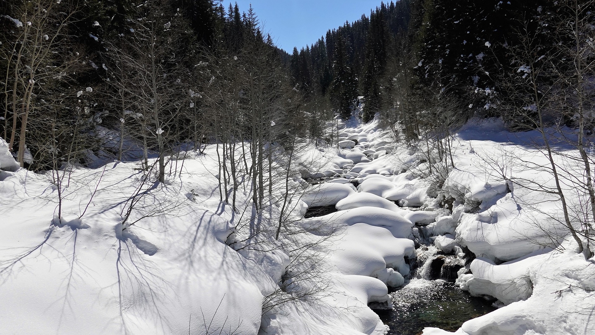 Zima, Strumień, Las, Drzewa, Śnieg