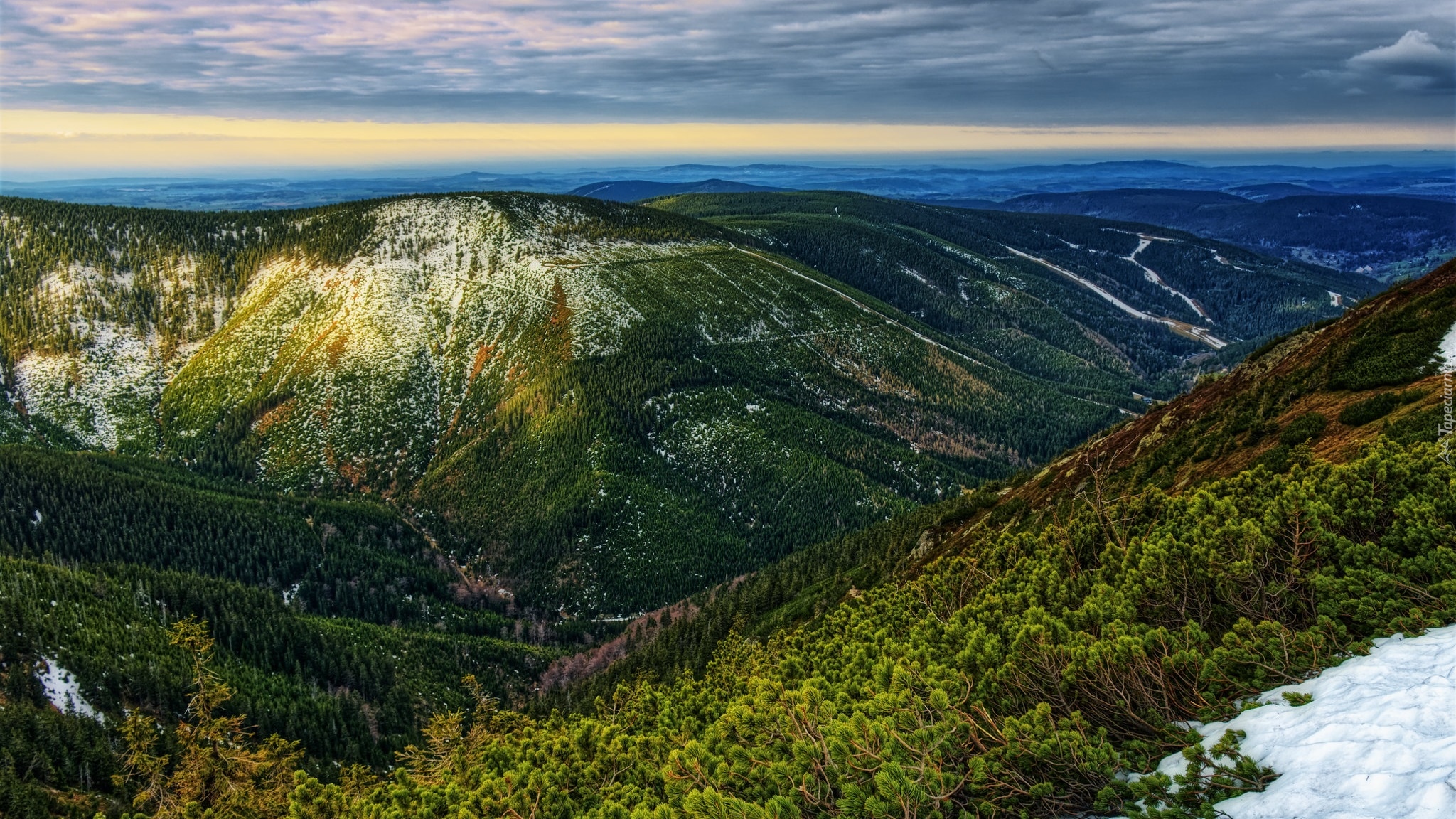 Zalesione, Góry, Karkonosze, Śnieg, Krzewy