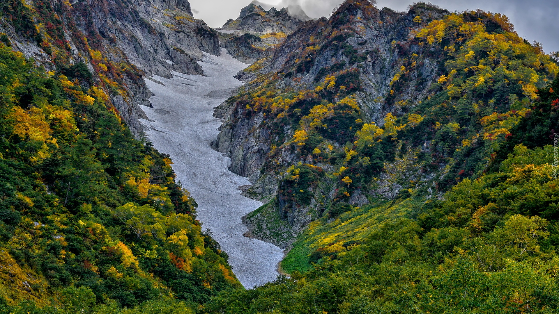 Góry, Śnieg, Kolorowe, Drzewa