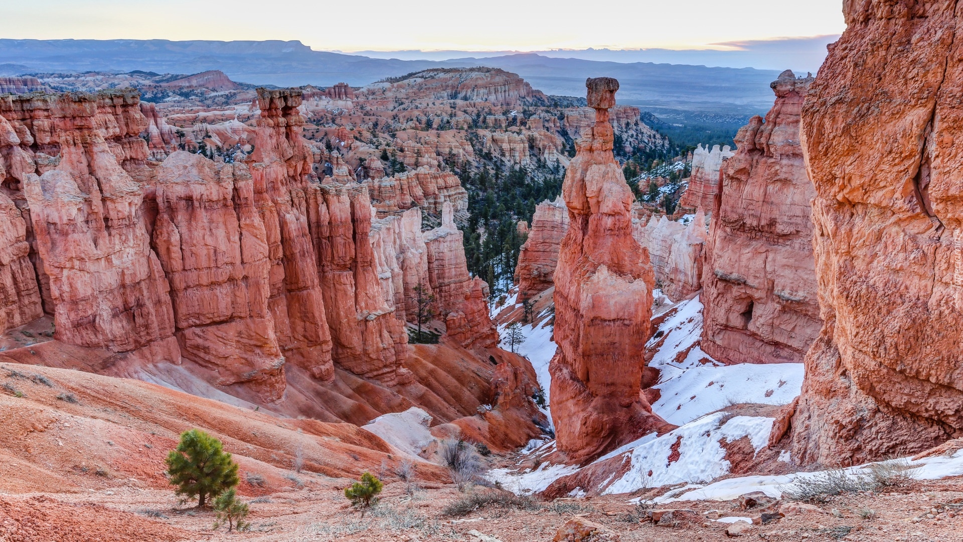 Góry, Skały, Drzewa, Park Narodowy Bryce Canyon, Utah, Stany Zjednoczone