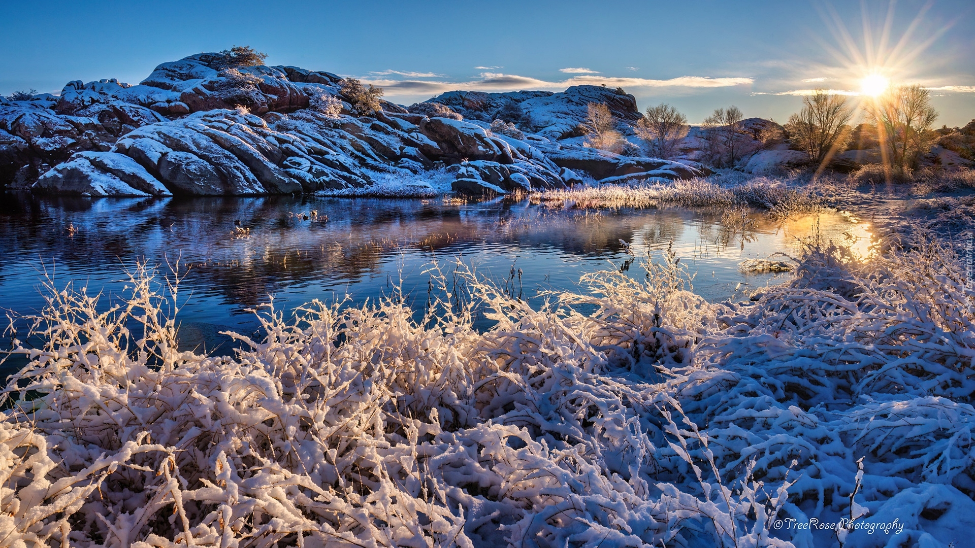 Skały, Rośliny, Jezioro, Willow Lake, Promienie słońca, Arizona, Stany Zjednoczone