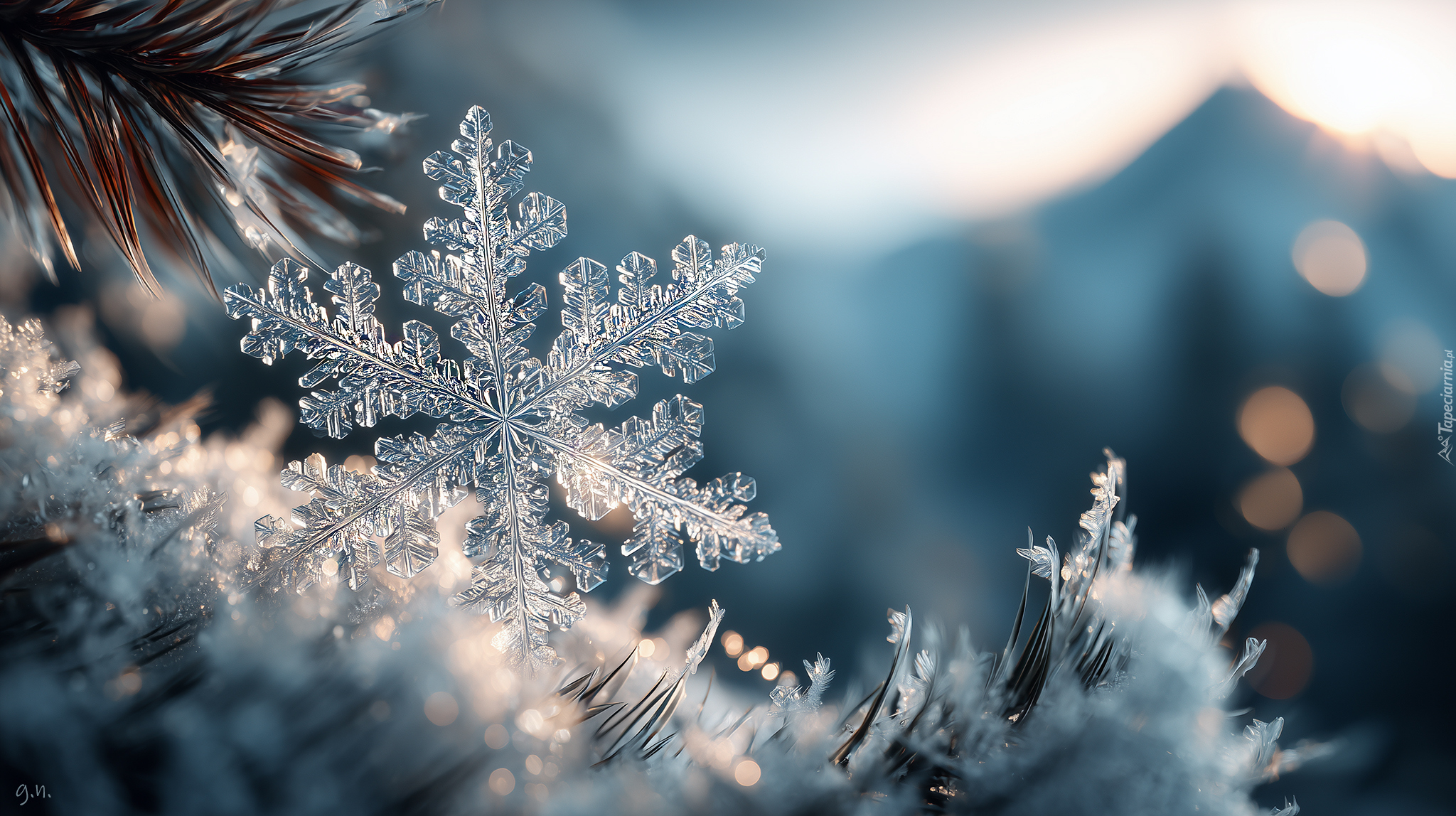 Śnieżynka, Gałązki, Sosna, Śnieg, Zima, Grafika AI