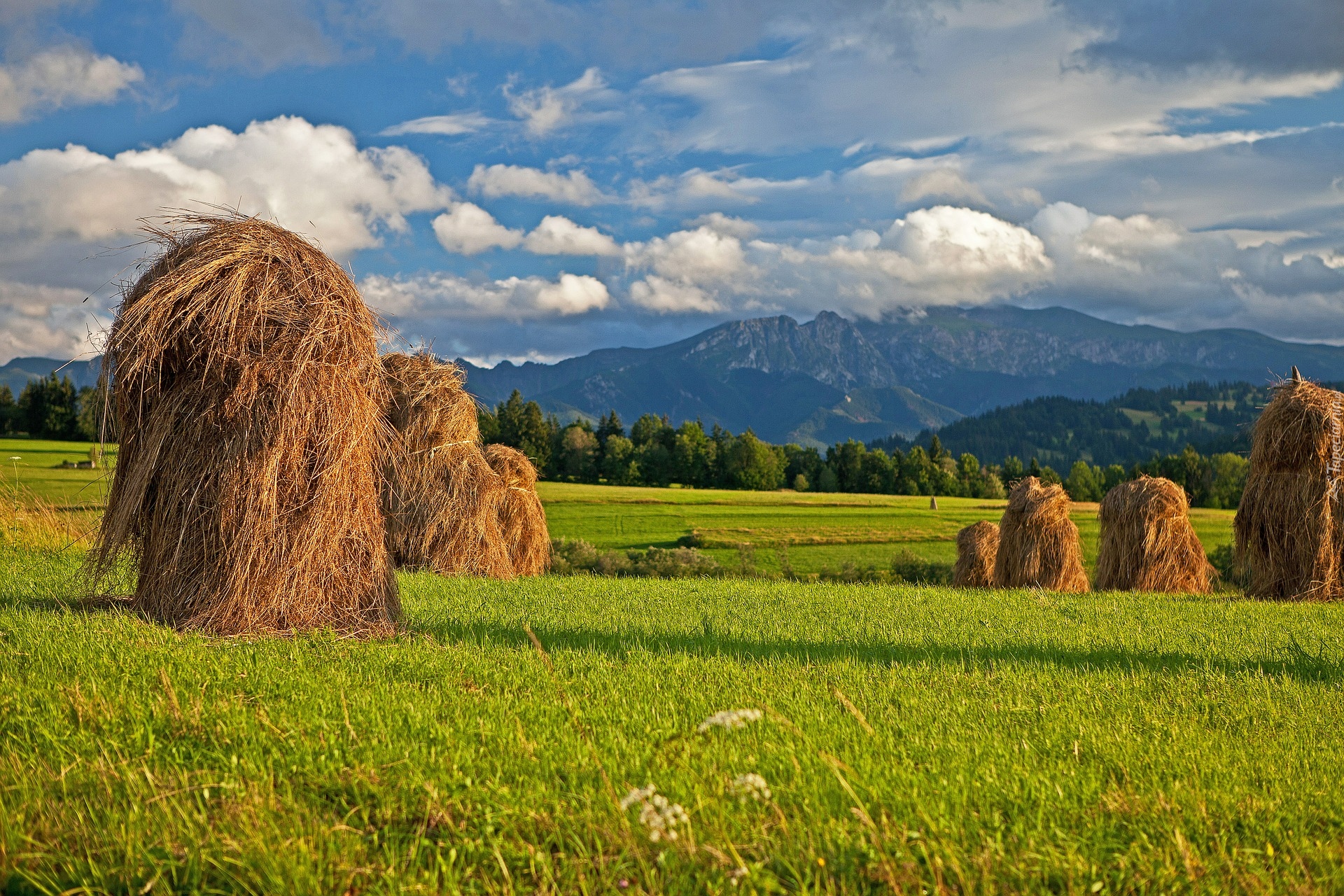 Łąka, Farmy i pola, Snopki, Siano, Słoneczny, Blask, Podhale, Góry, Tatry, Polska