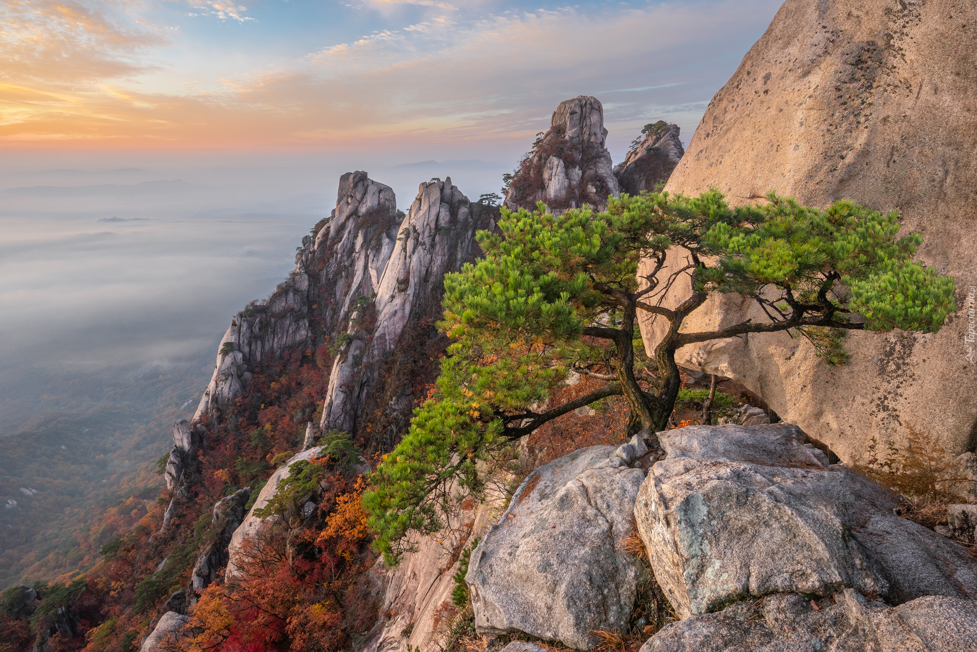 Góry, Skały, Sosna, Góra Dobongsan, Park Narodowy Bukhansan, Prowincja Gyeonggi-do, Korea Południowa