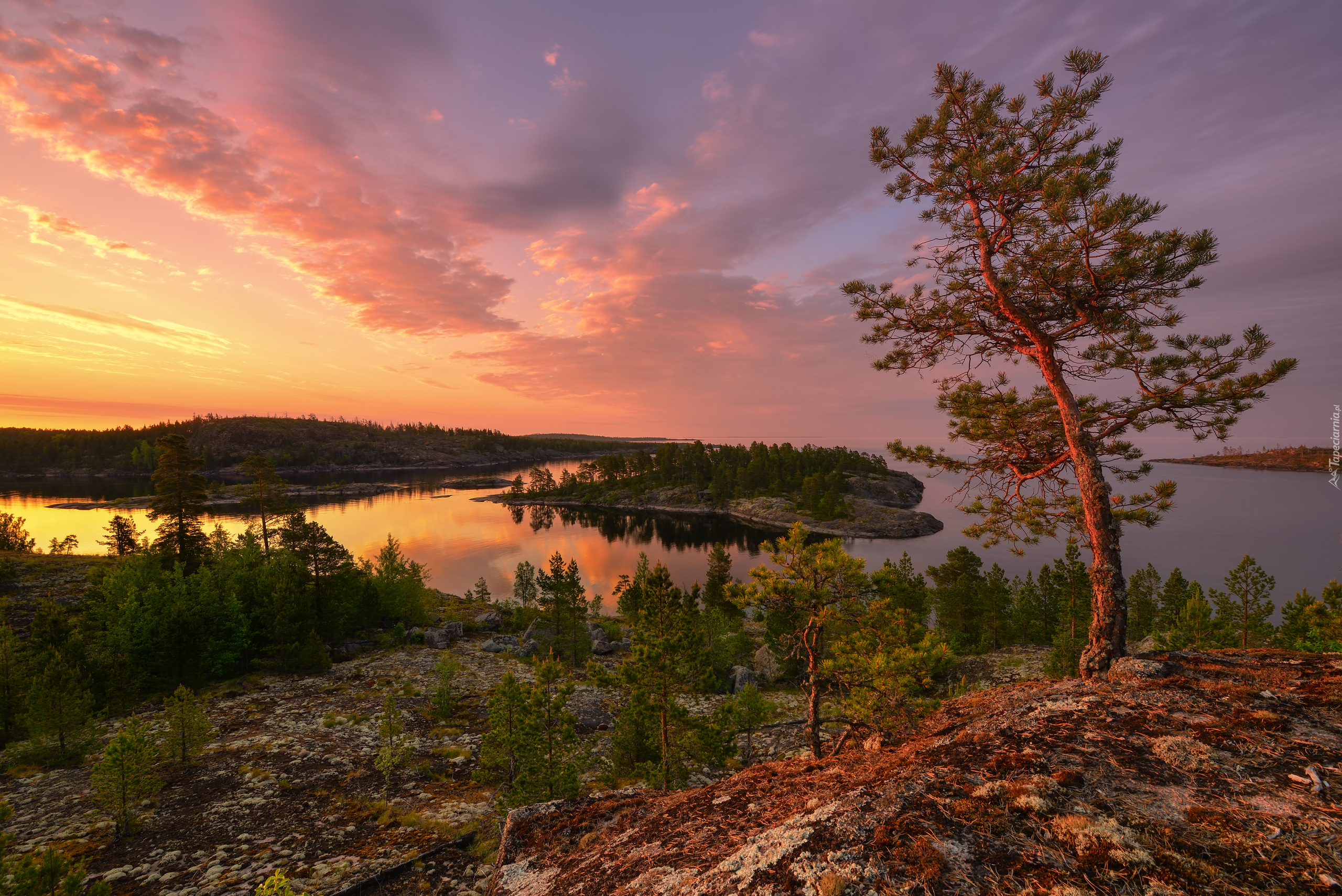 Jezioro, Ładoga, Wysepka, Drzewo, Roślinność, Karelia, Rosja