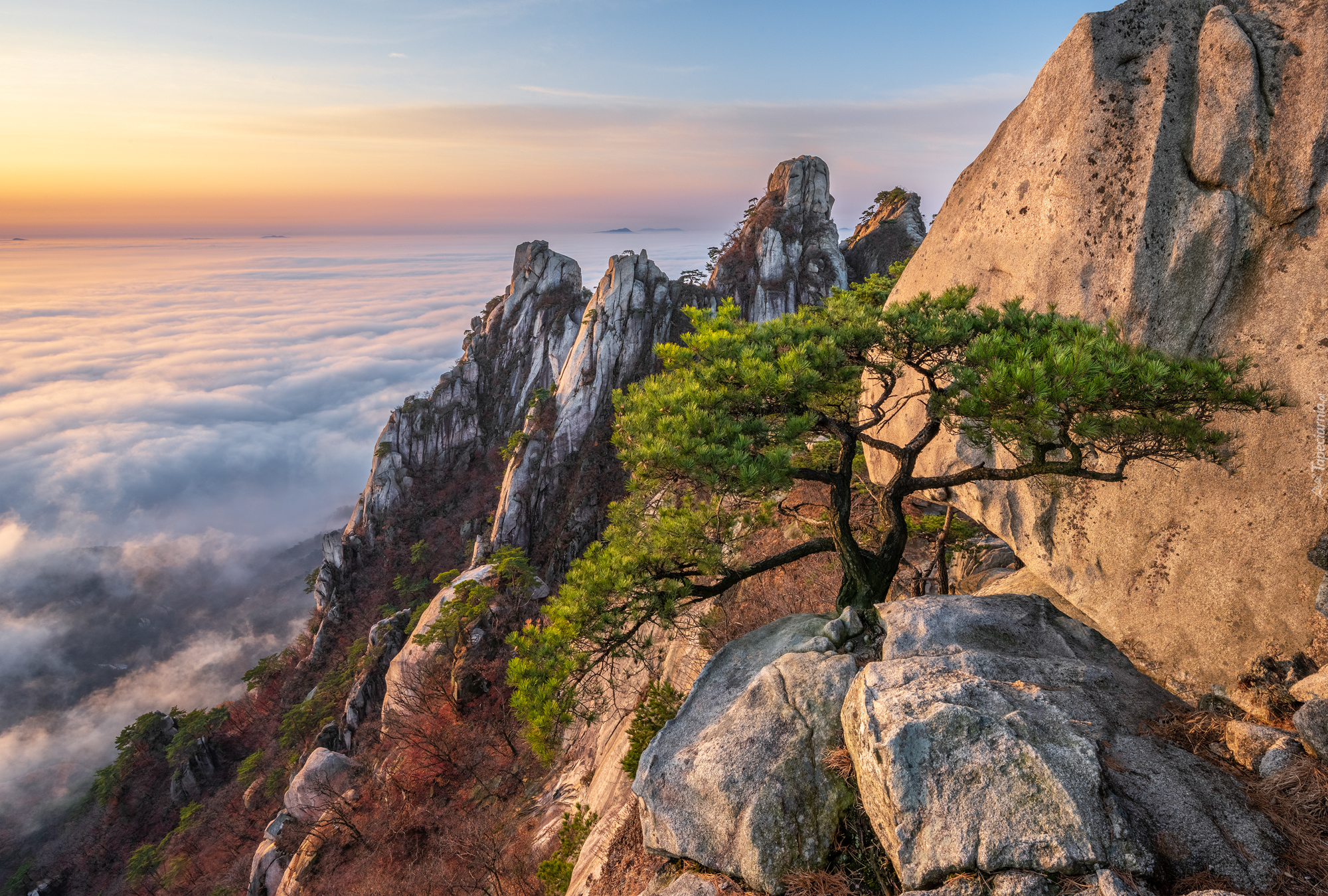 Góry, Skały, Sosna, Mgła, Góra Dobongsan, Park Narodowy Bukhansan, Prowincja Gyeonggi-do, Korea Południowa