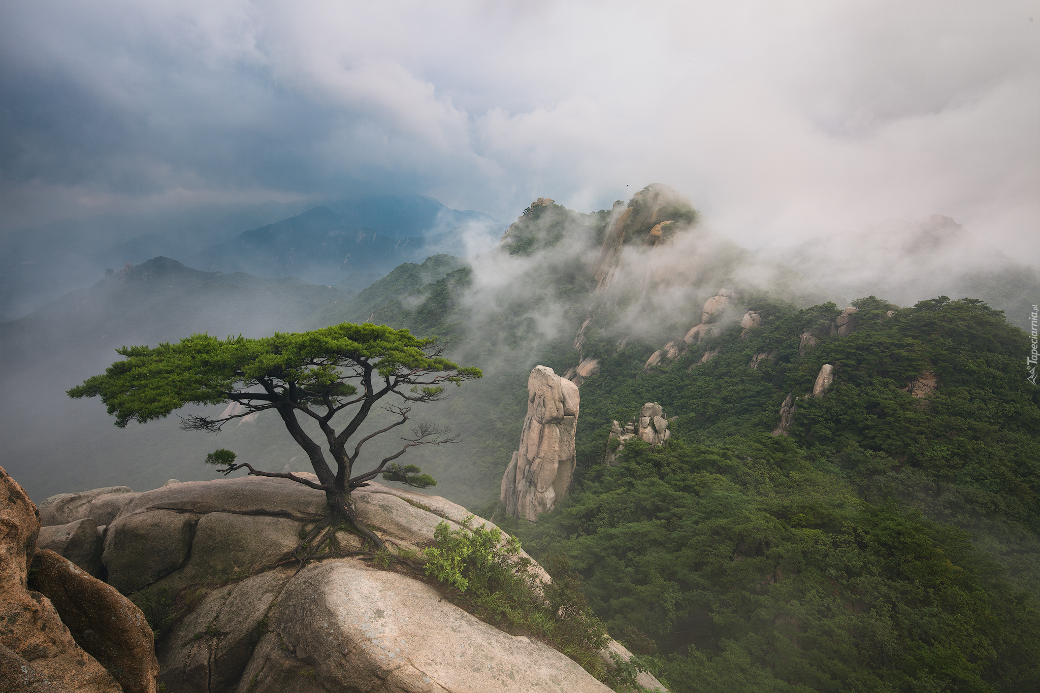 Park Narodowy Bukhansan, Dobongsan, Góry, Zima, Ośnieżone, Skały, Kamienie, Drzewa, Sosna, Prowincja Gyeonggi-do, Korea Południowa