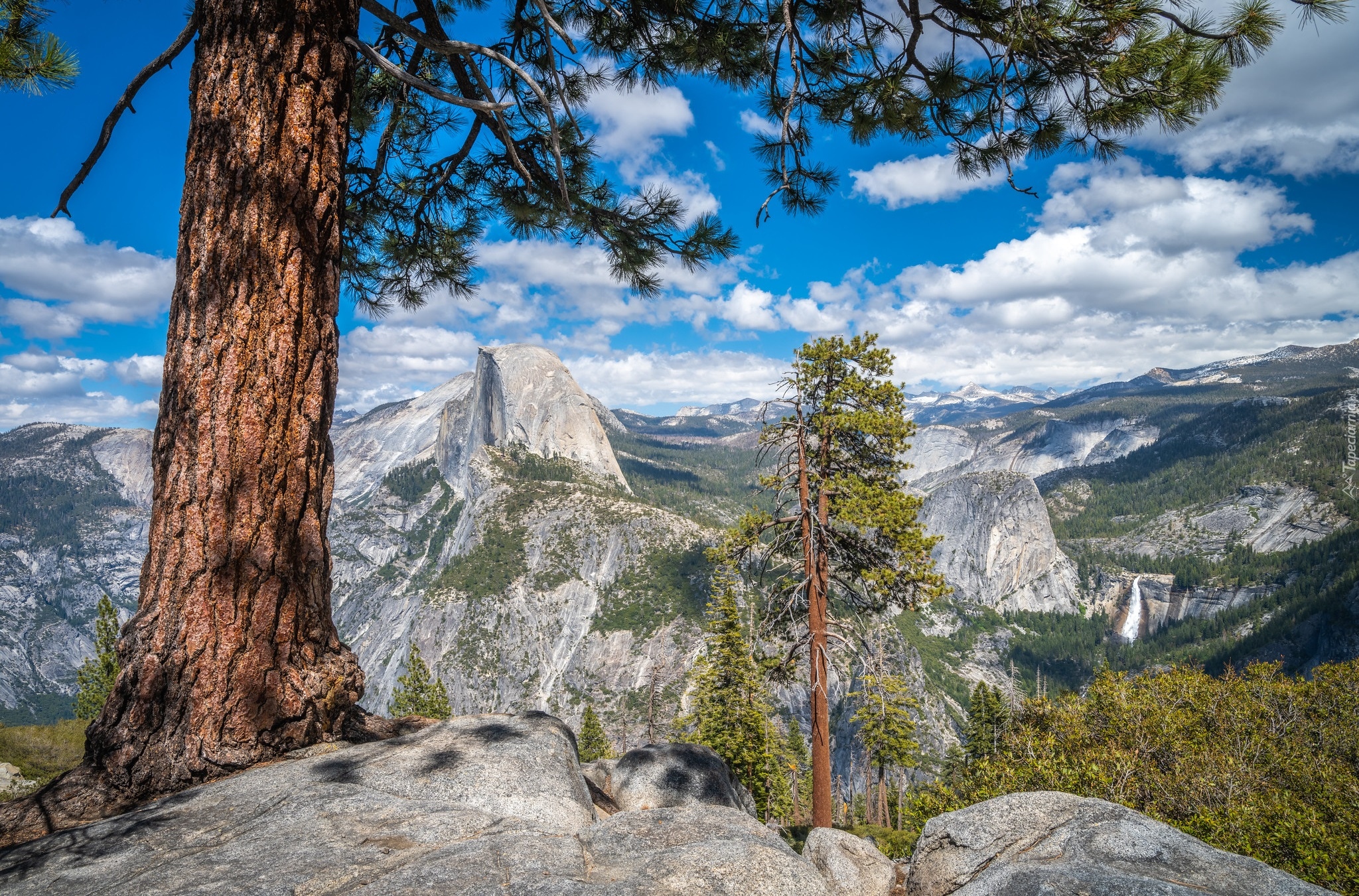 Góry, Szczyt Half Dome, Drzewa, Sosny, Park Narodowy Yosemite, Kalifornia, Stany Zjednoczone