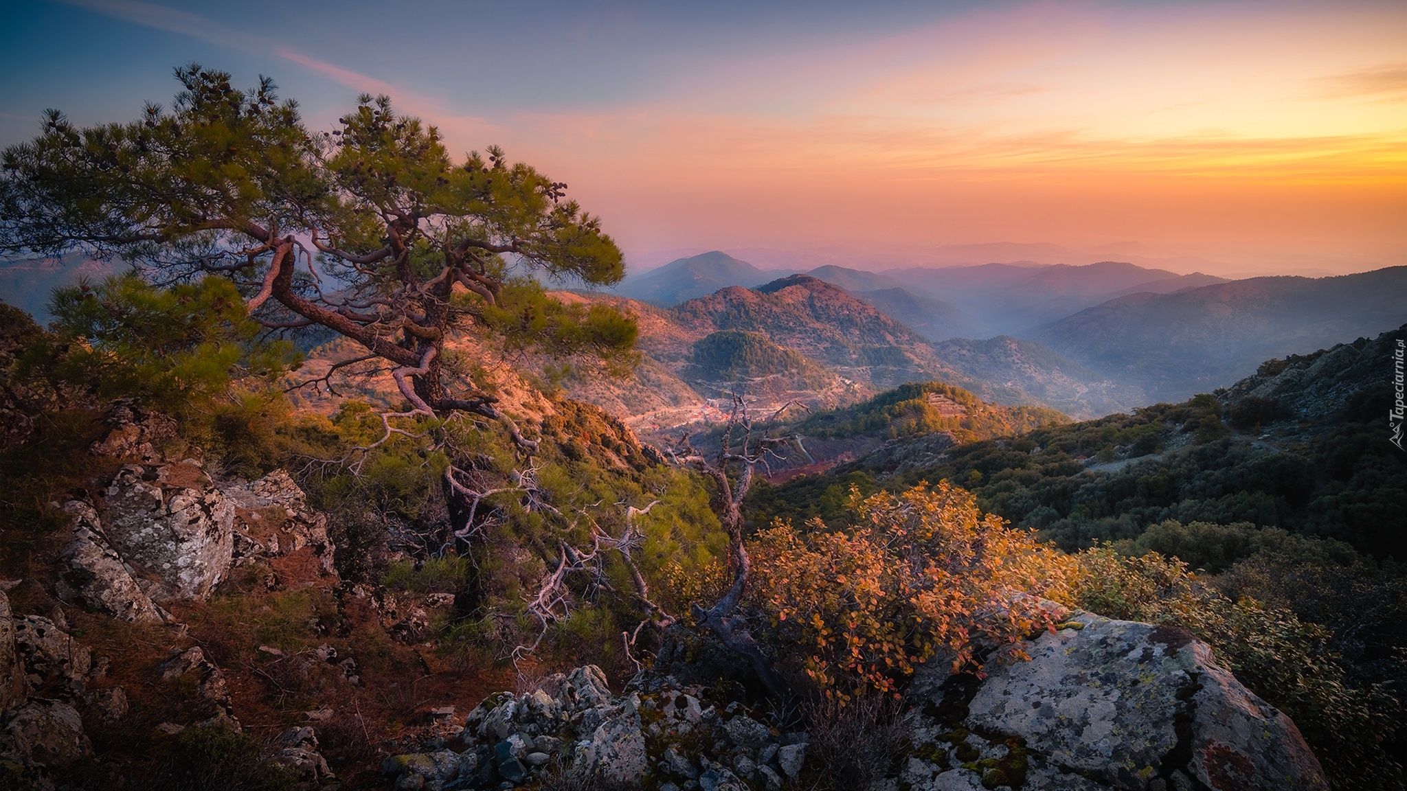 Góry Troodos, Kamienie, Sosna, Zachód słońca, Cypr