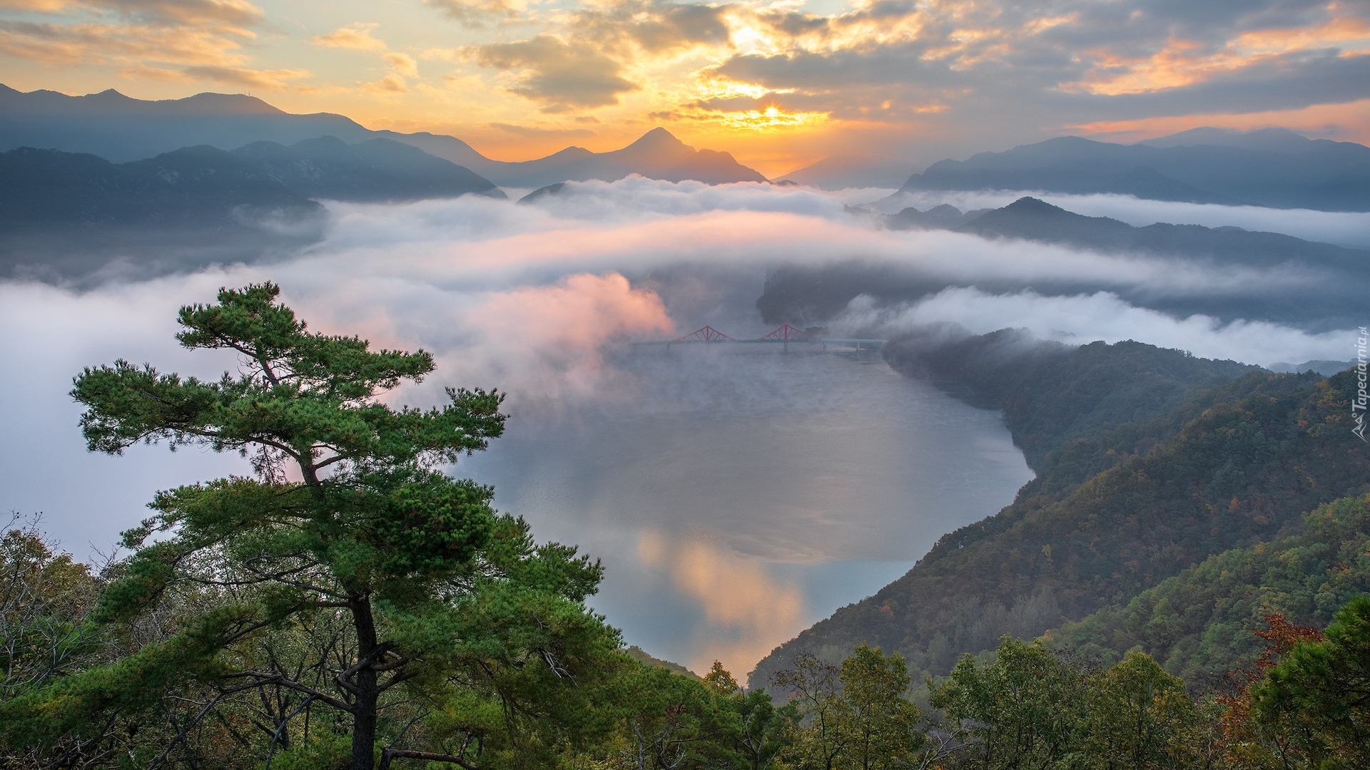 Góry, Rzeka, Most, Mgła, Drzewo, Sosna, Chmury, Promienie słońca, Korea