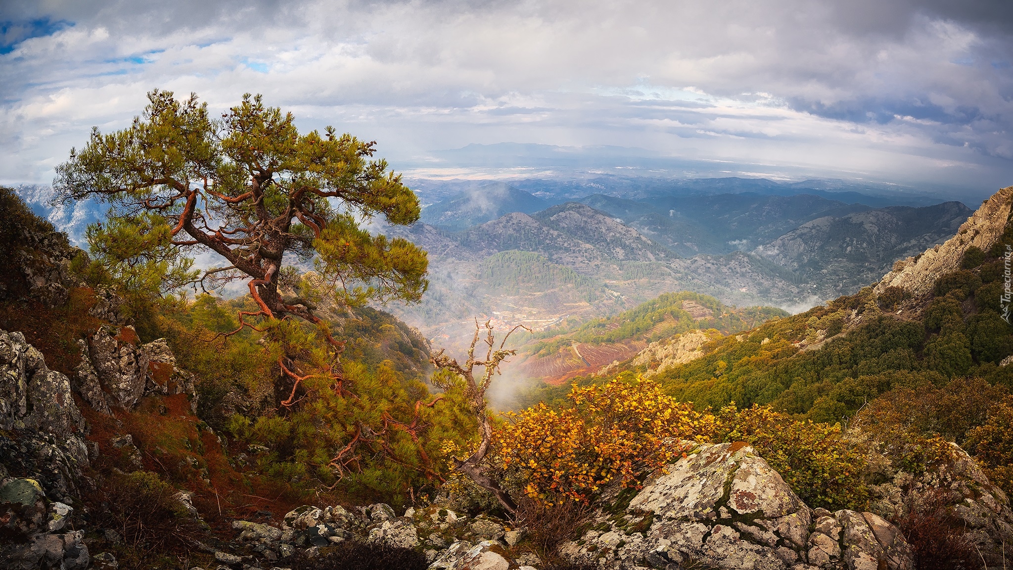 Góry, Troodos, Kamienie, Sosna, Zachód słońca, Cypr