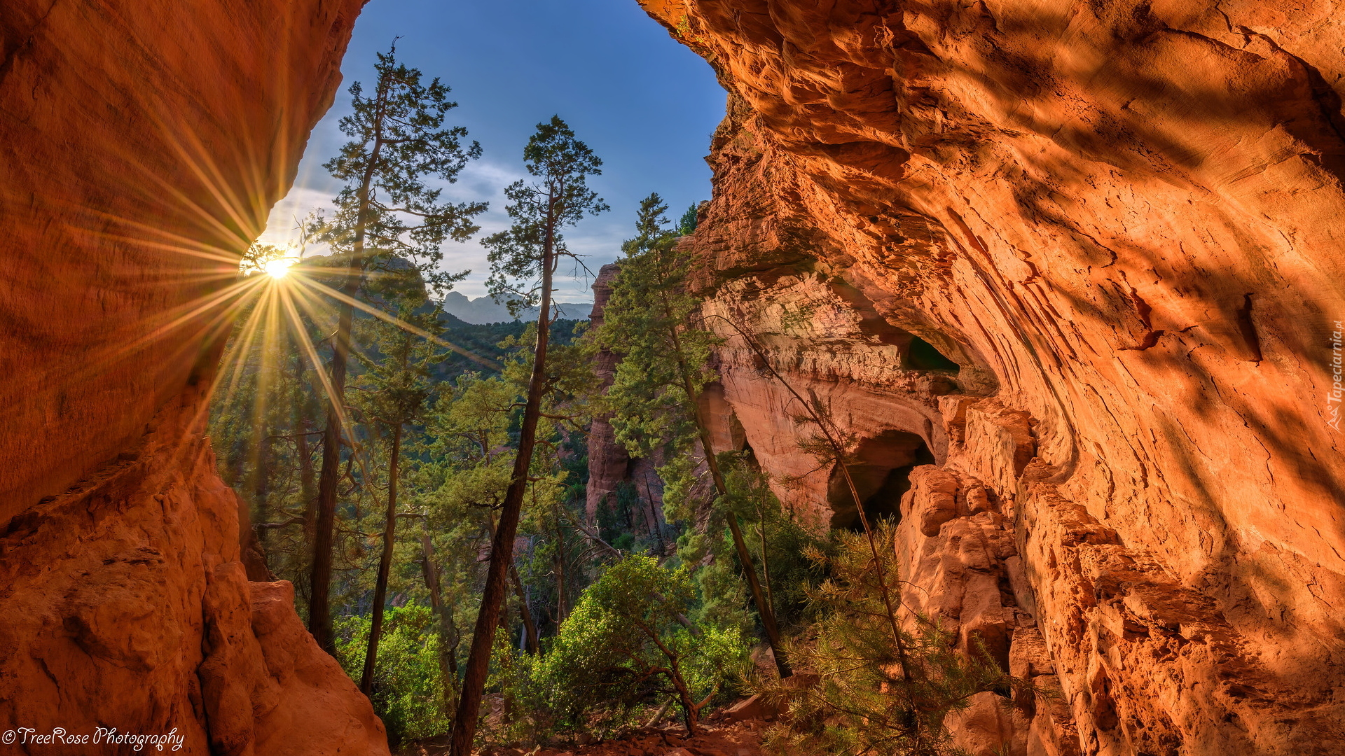 Skały, Sosny, Promienie słońca, Sedona, Arizona, Stany Zjednoczone