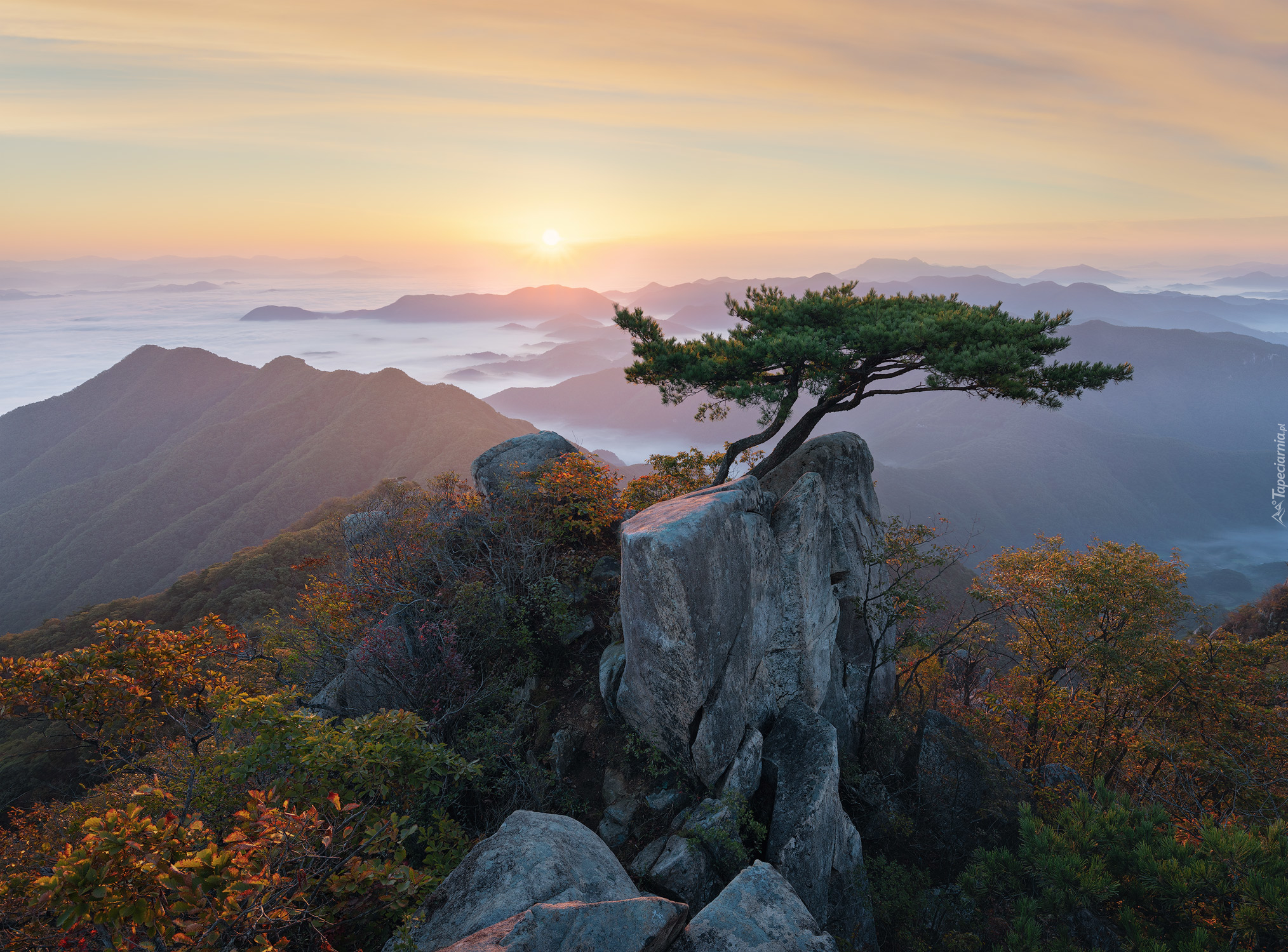 Park Prowincjonalny Daedunsan, Wschód Słońca, Drzewa, Sosny, Góry, Mgła, Prowincja Jeolla Północna, Korea Południowa