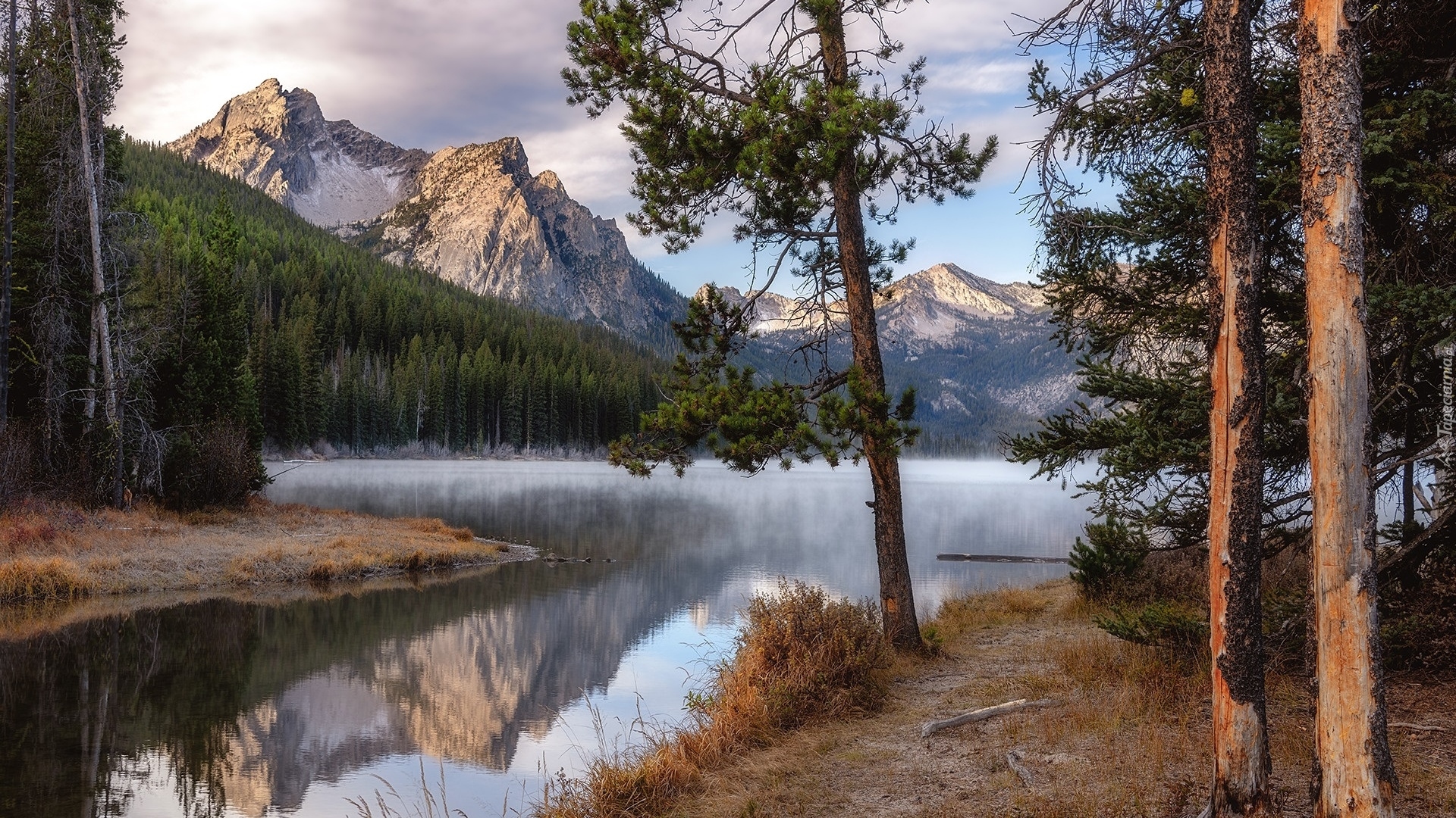 Góry, Sawtooth Range, Jezioro, Stanley Lake, Drzewa, Sosny, Idaho, Stany Zjednoczone