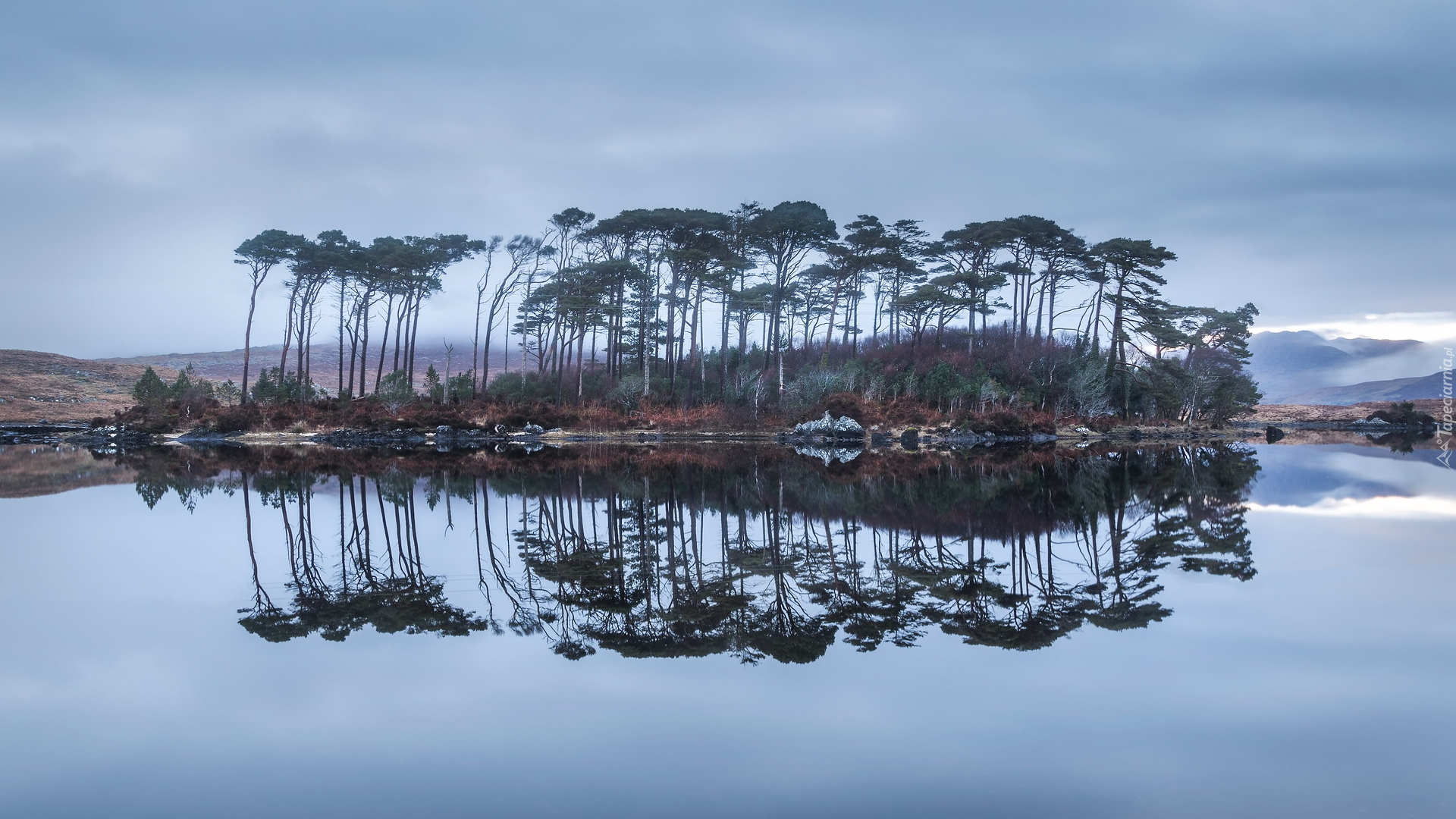 Wyspa, Drzewa, Sosny, Odbicie, Jezioro Derryclare Lough, Galway, Region Connemara, Irlandia