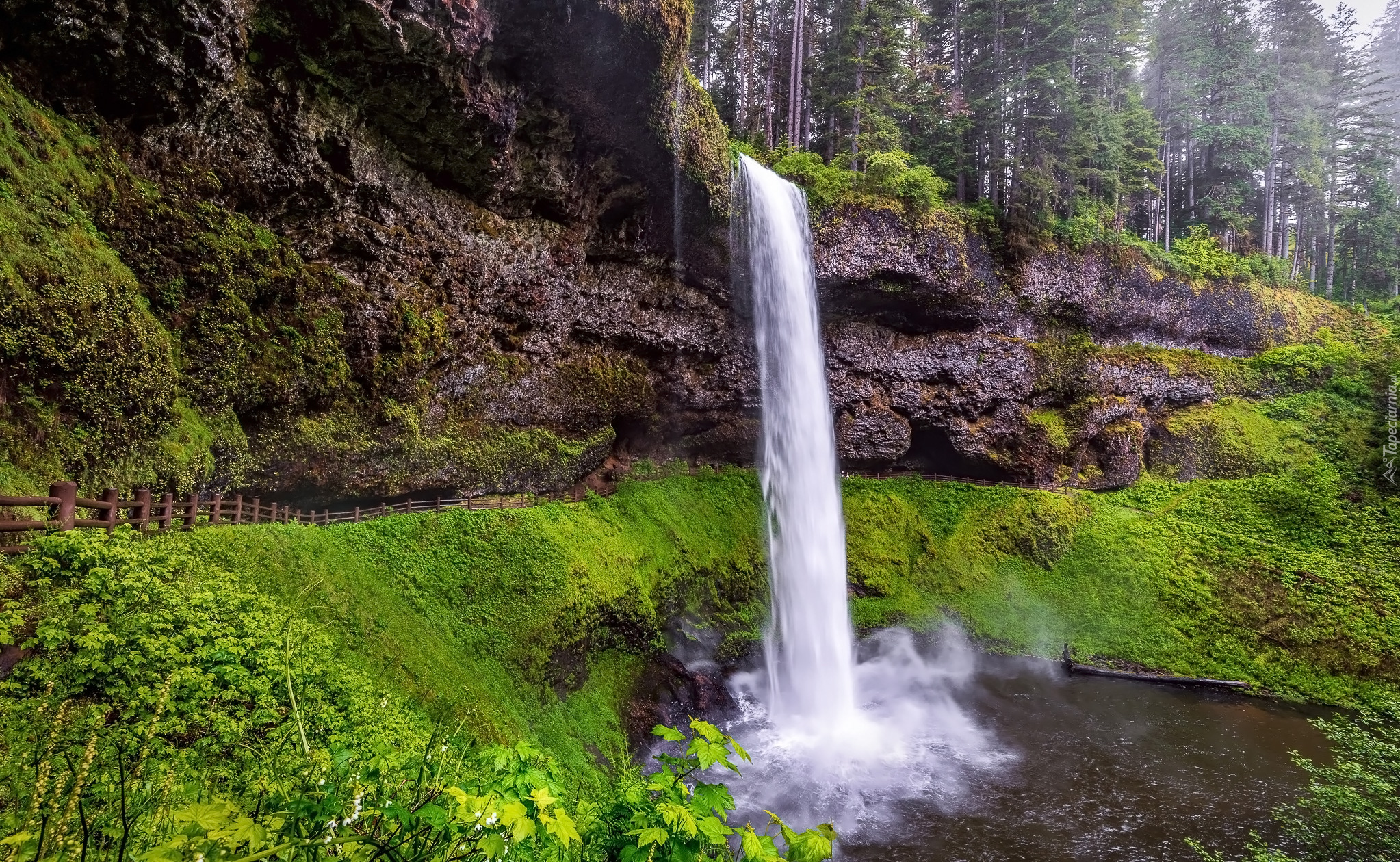 Wodospad, South Falls, Skały, Drzewa, Trawa, Park stanowy Silver Falls, Stan Oregon, Stany Zjednoczone
