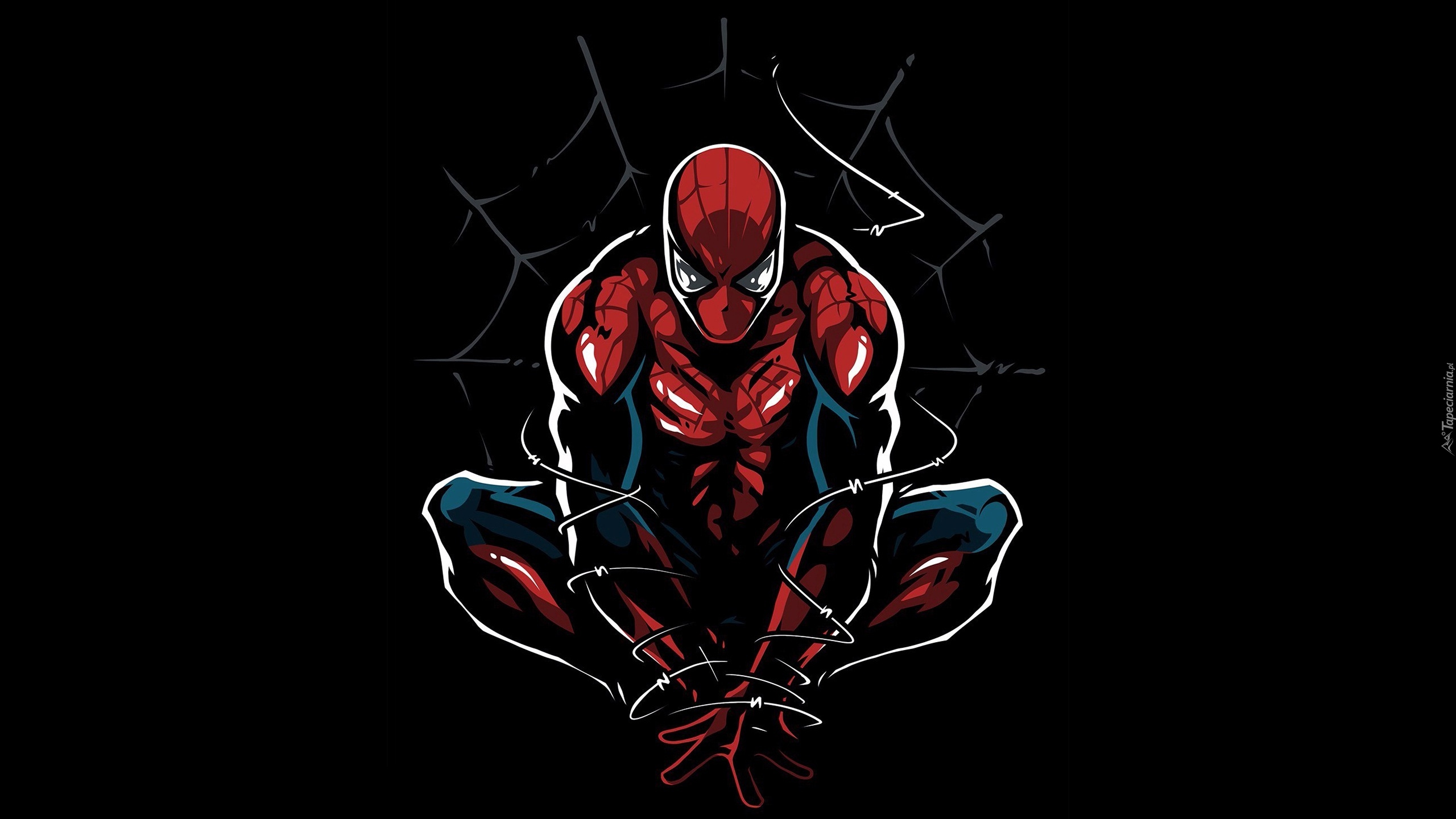 Grafika, Spiderman