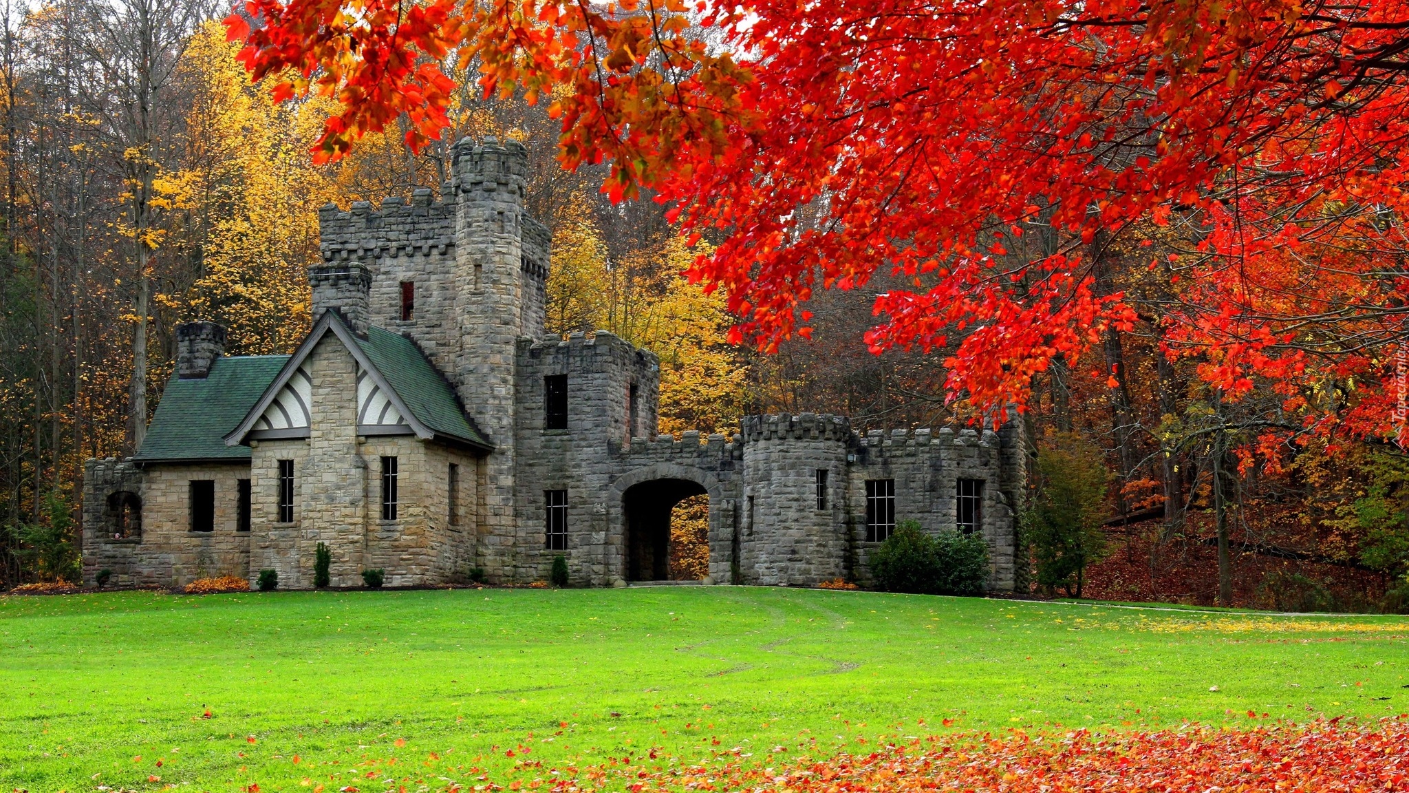 Stany Zjednoczone, Stan Ohio, Miasto Willoughby Hills, Park North Chagrin Reservation, Squires Castle - Zamek Giermka, Jesień, Drzewa