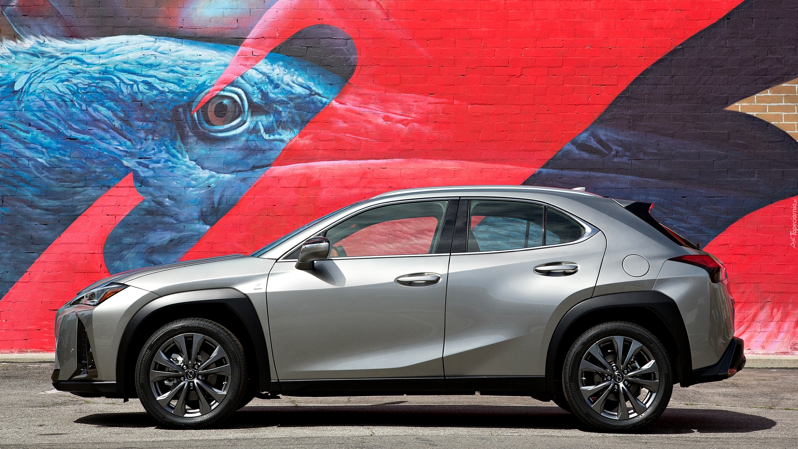 Lexus UX200, Ściana, Graffiti