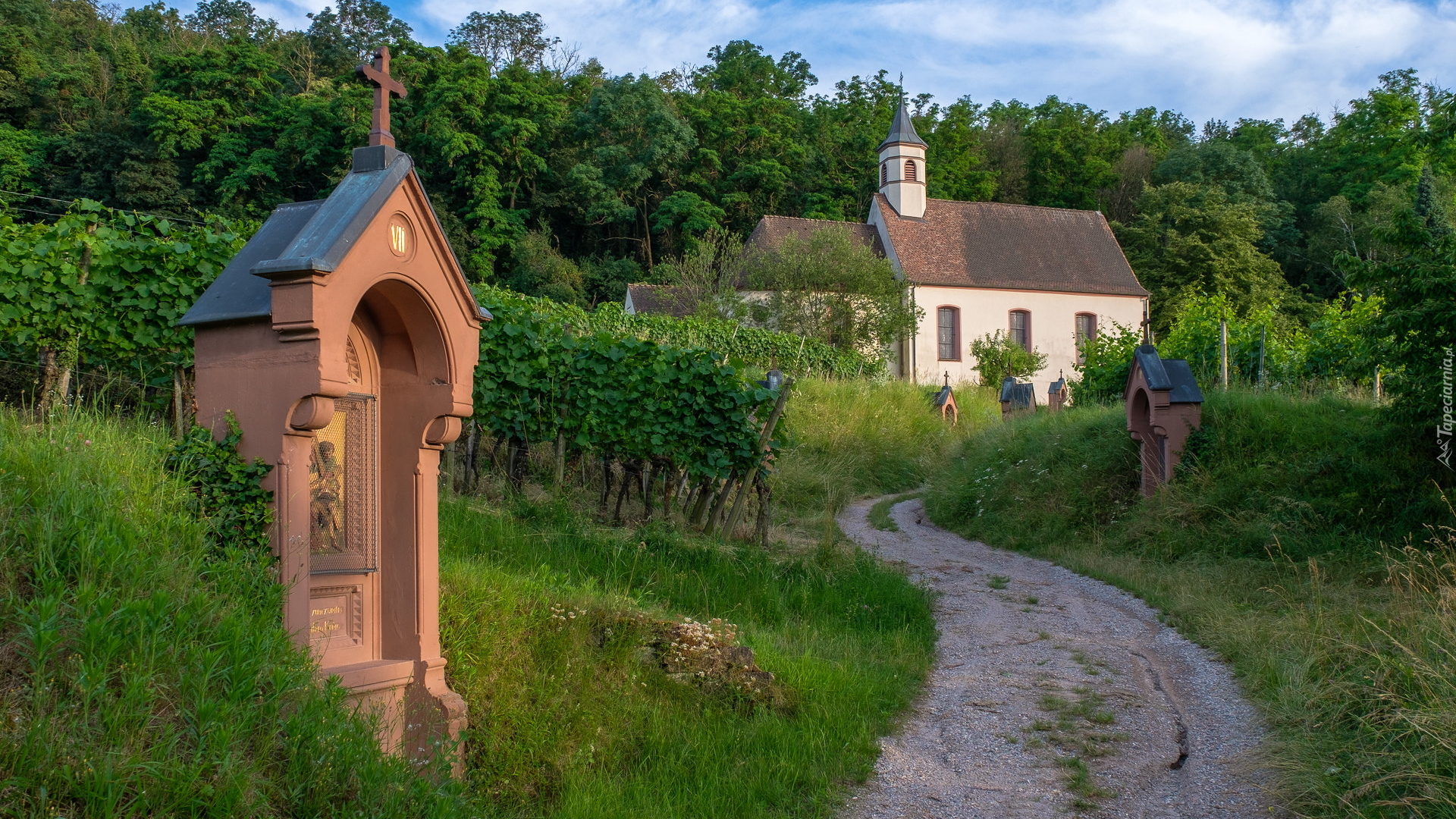 Kościół, Sankt Pantaleon, Stacje drogi krzyżowej, Droga, Winnice, Vogtsburg im Kaiserstuhl, Niemcy