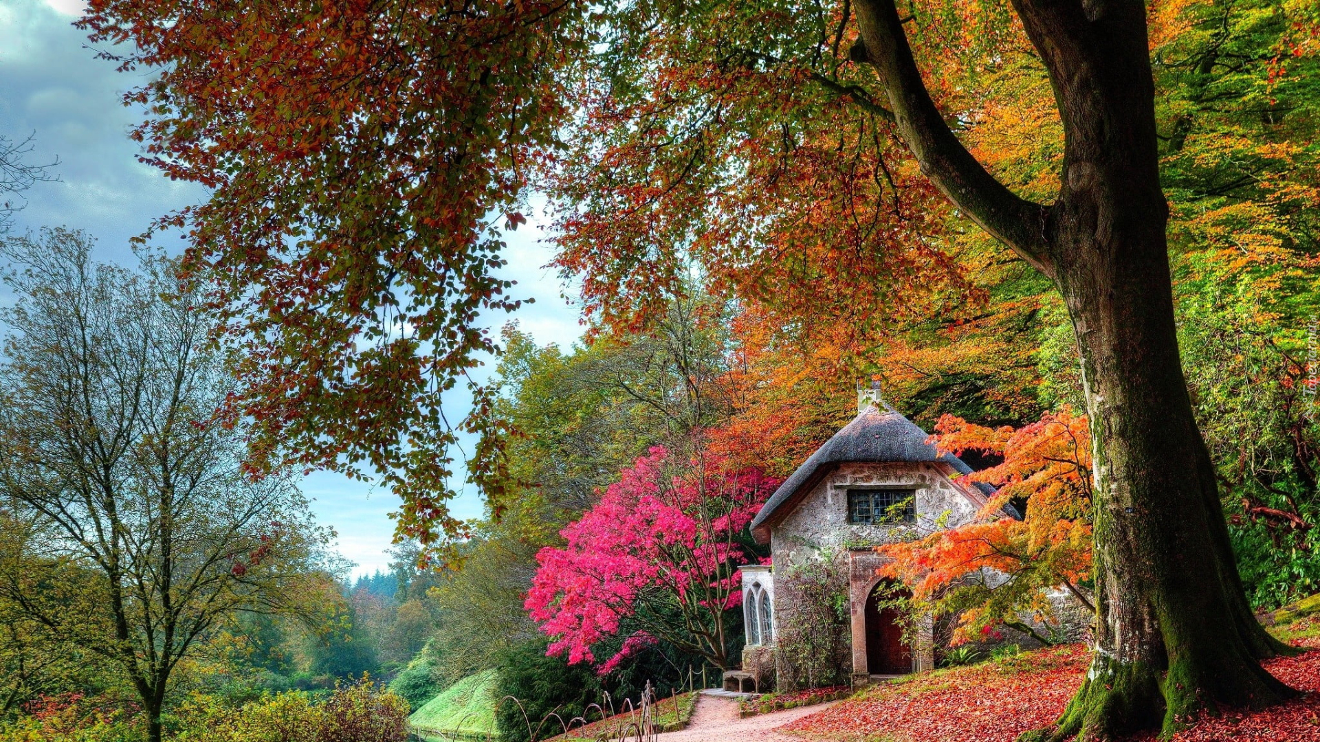 Dom, Droga, Drzewa, Jesień