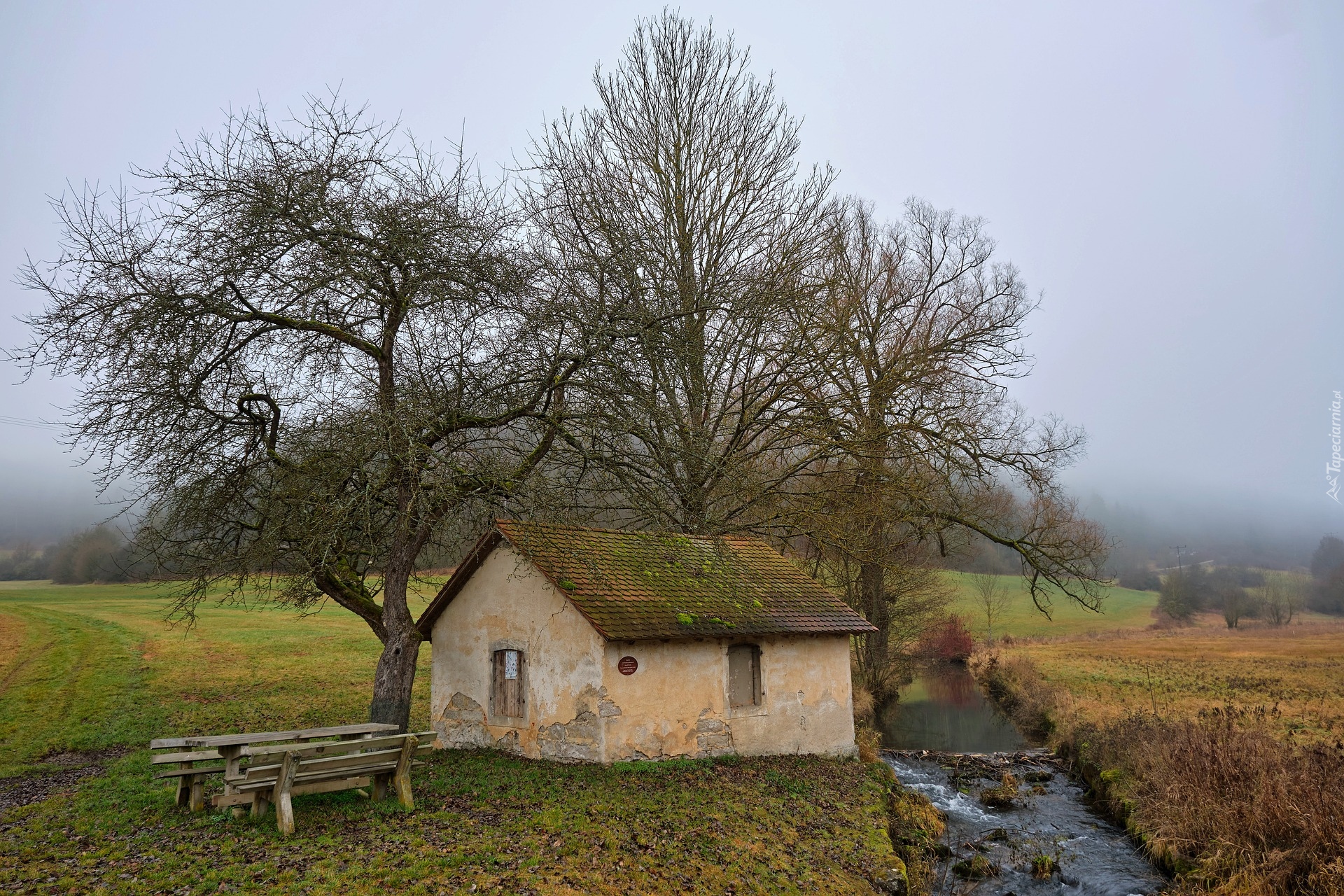 Dom, Ławka, Drzewa, Rzeczka, Pole