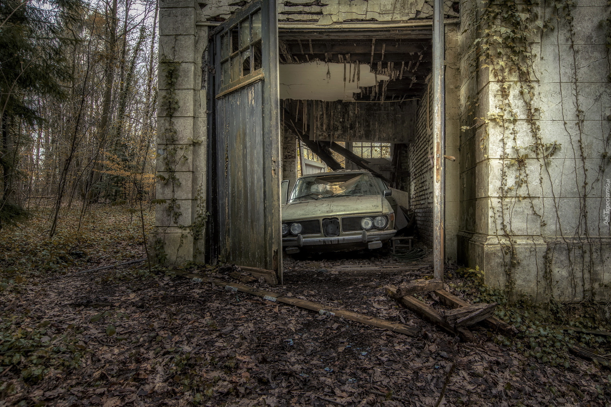 Some abandoned