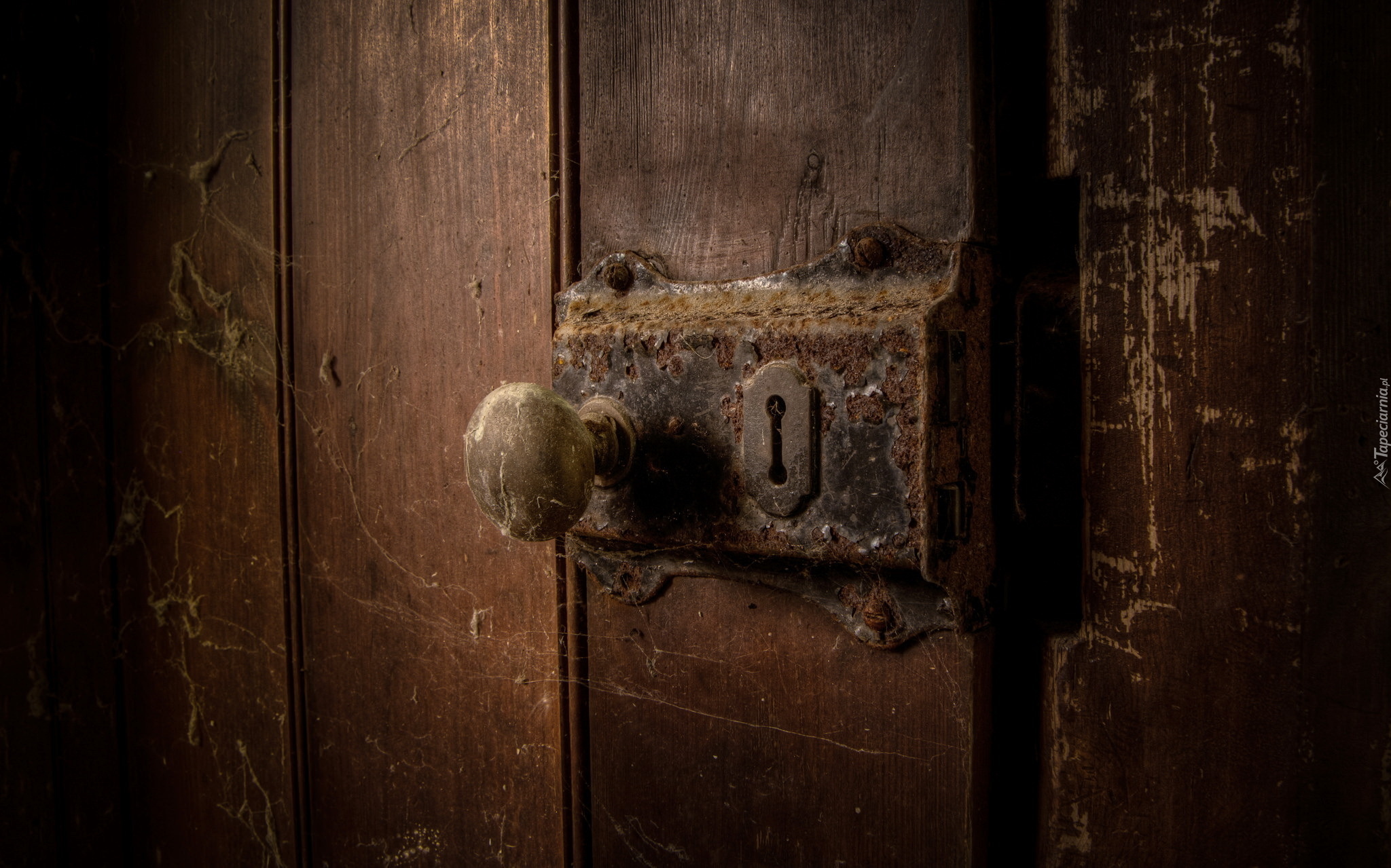 Запирайте дверь в квартире. Старинная металлическая дверь. Старинные двери в замках. Страшная дверь.