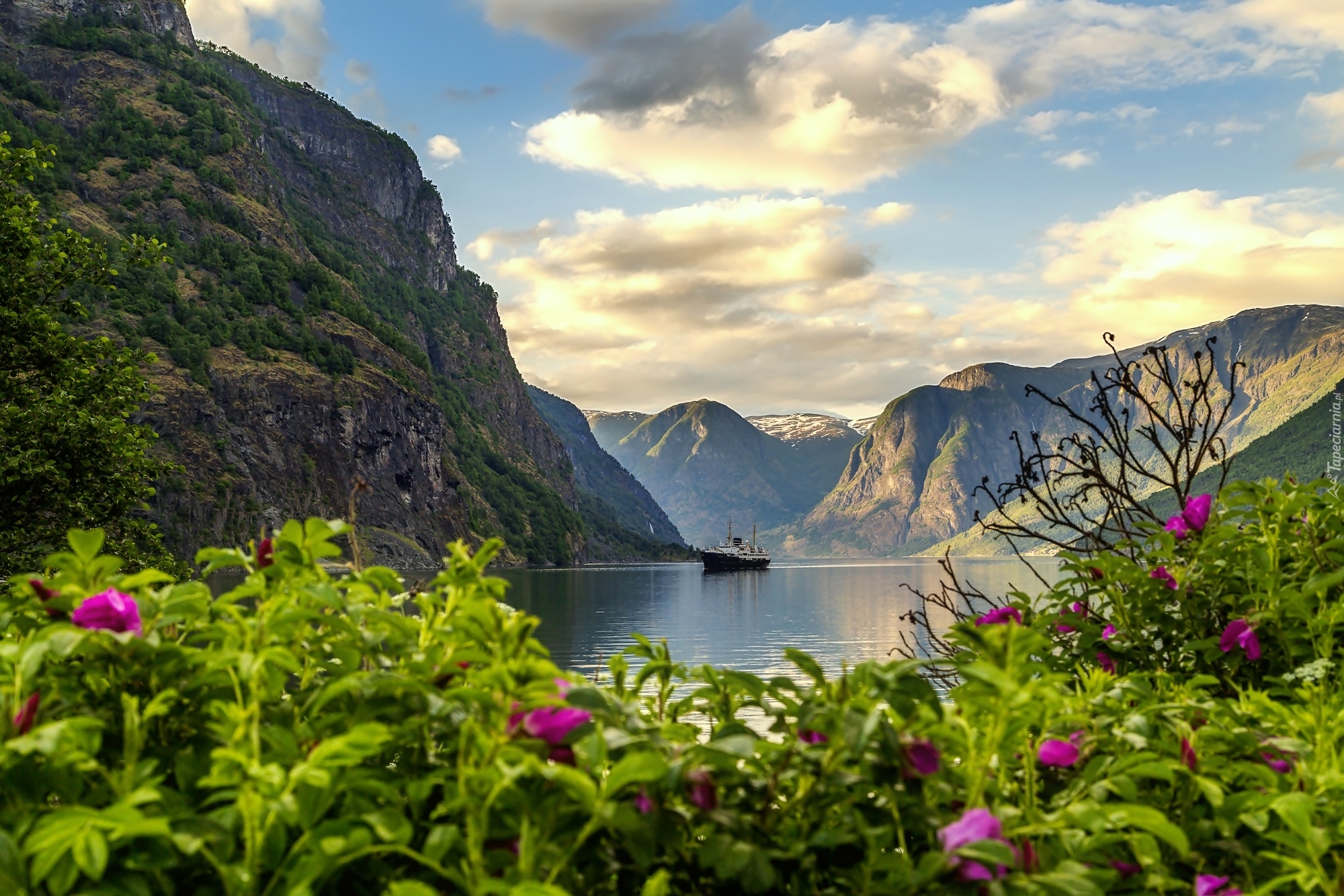 Norwegia, Fiord Aurlandsfjord, Wieś Flam, Statek, Góry, Kwiaty