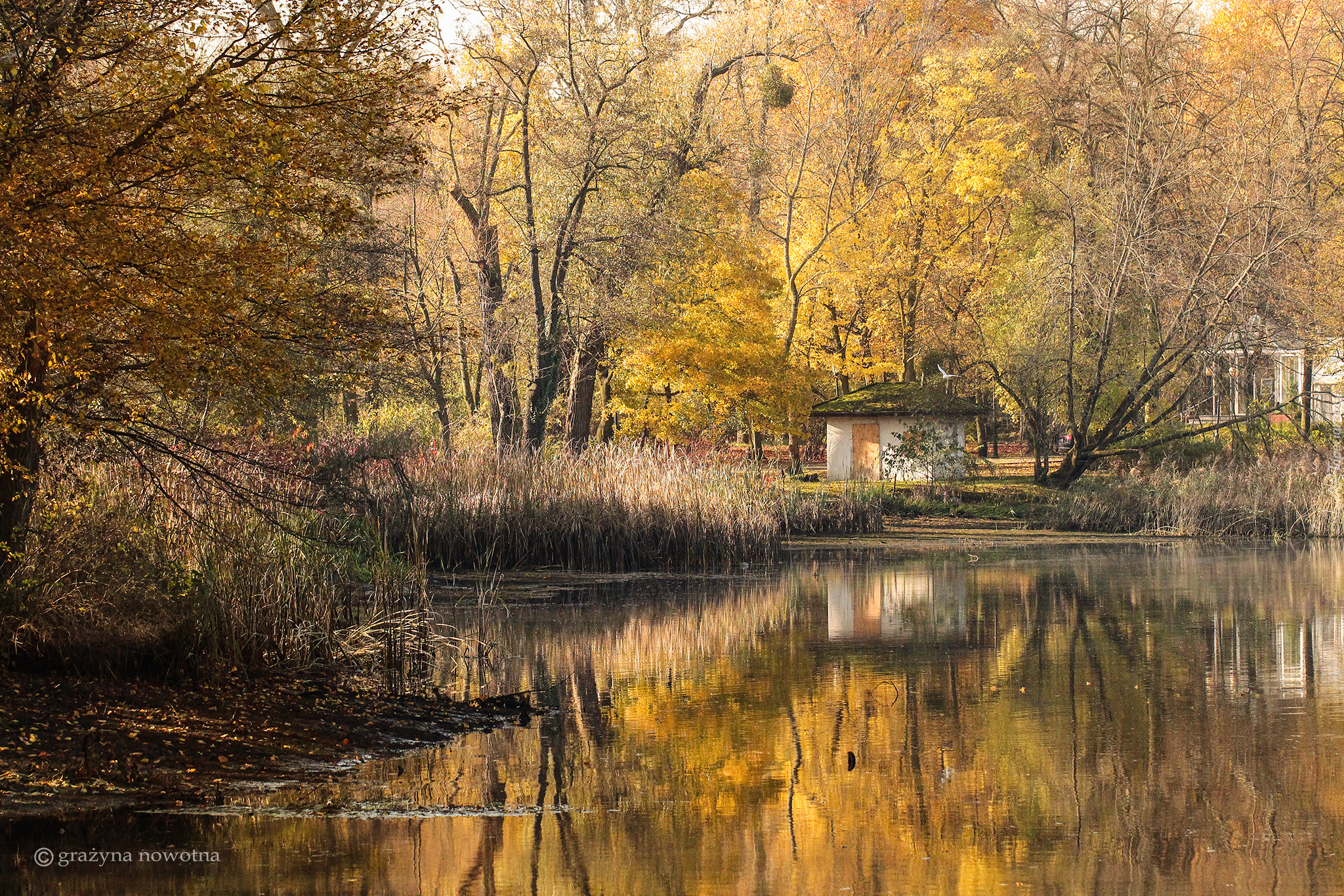 Poznań, Park Sołacki, Staw, Jesień