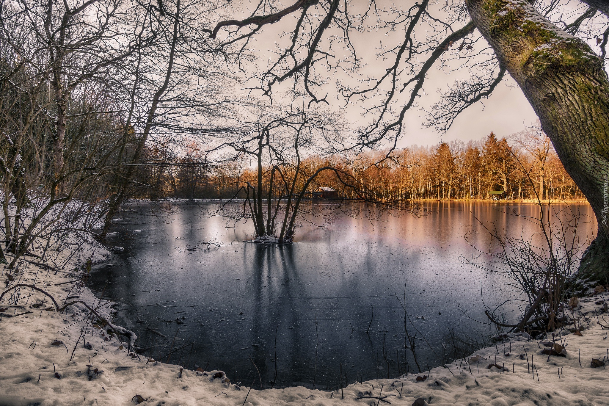 Zima, Staw, Śnieg, Drzewa