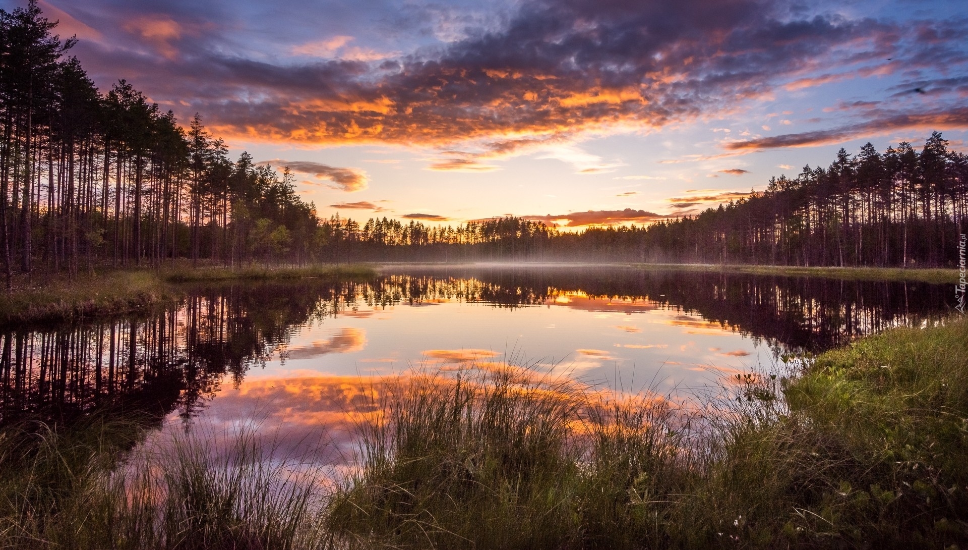 Finlandia, Lieksa, Park Narodowy Patvinsuo, Staw, Mgła, Drzewa,  Roślinność, Chmury, Zachód słońca, Odbicie