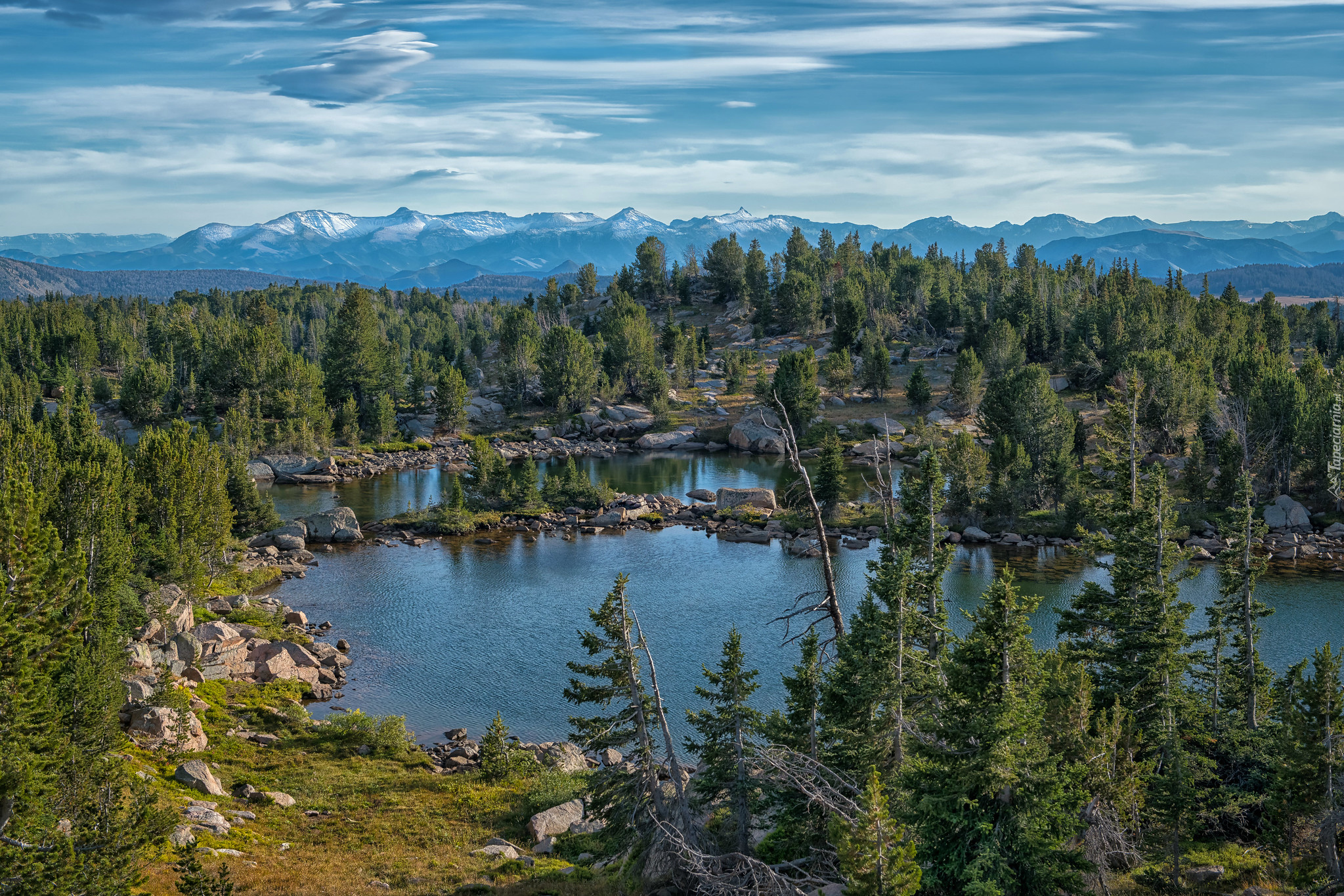 Staw, Kamienie, Drzewa, Świerki, Góry Absaroka, Wyoming, Stany Zjednoczone