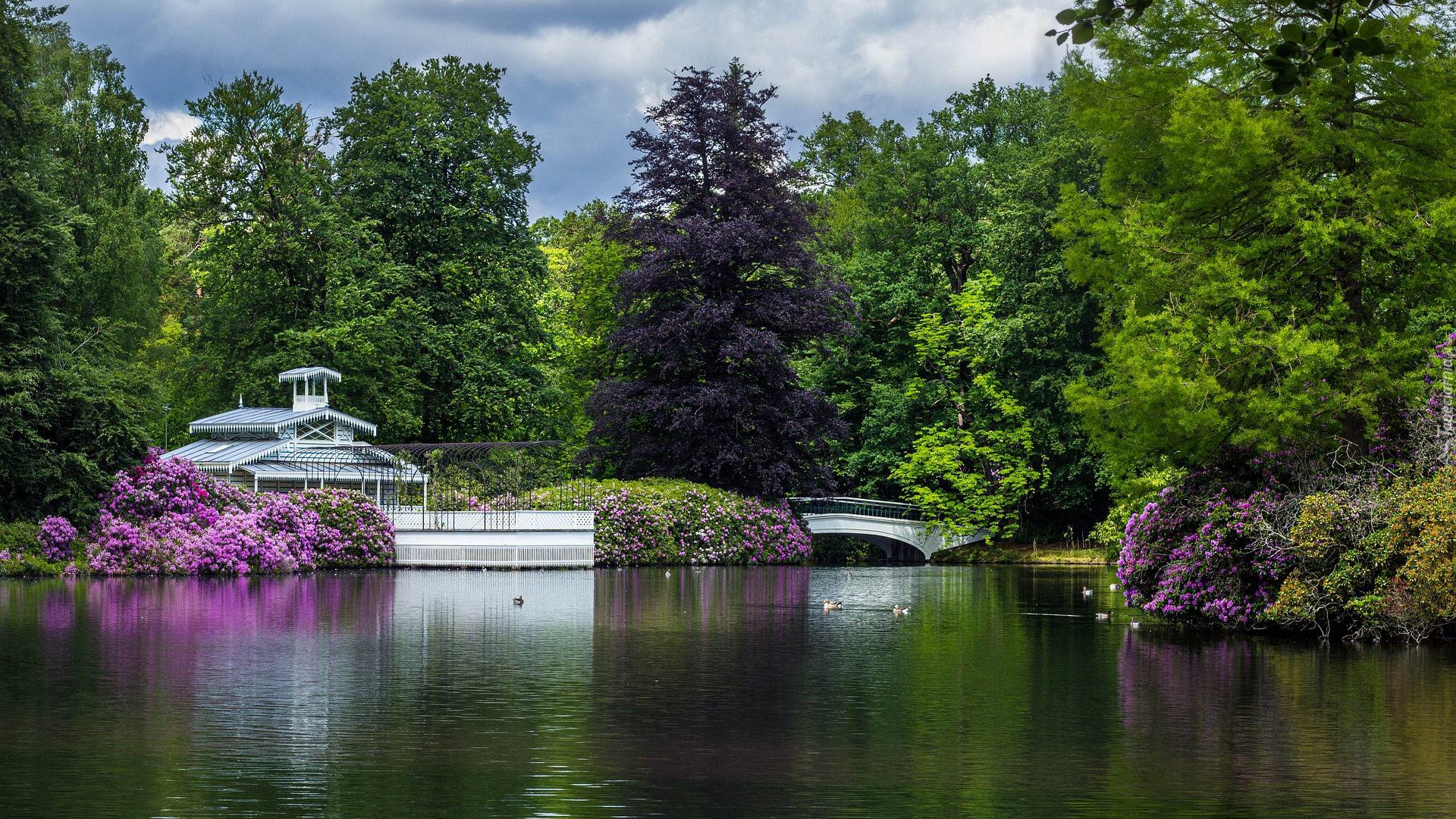 Staw, Park, Paleispark Het Loo, Drzewa, Mostek, Budowla, Apeldoorn, Holandia