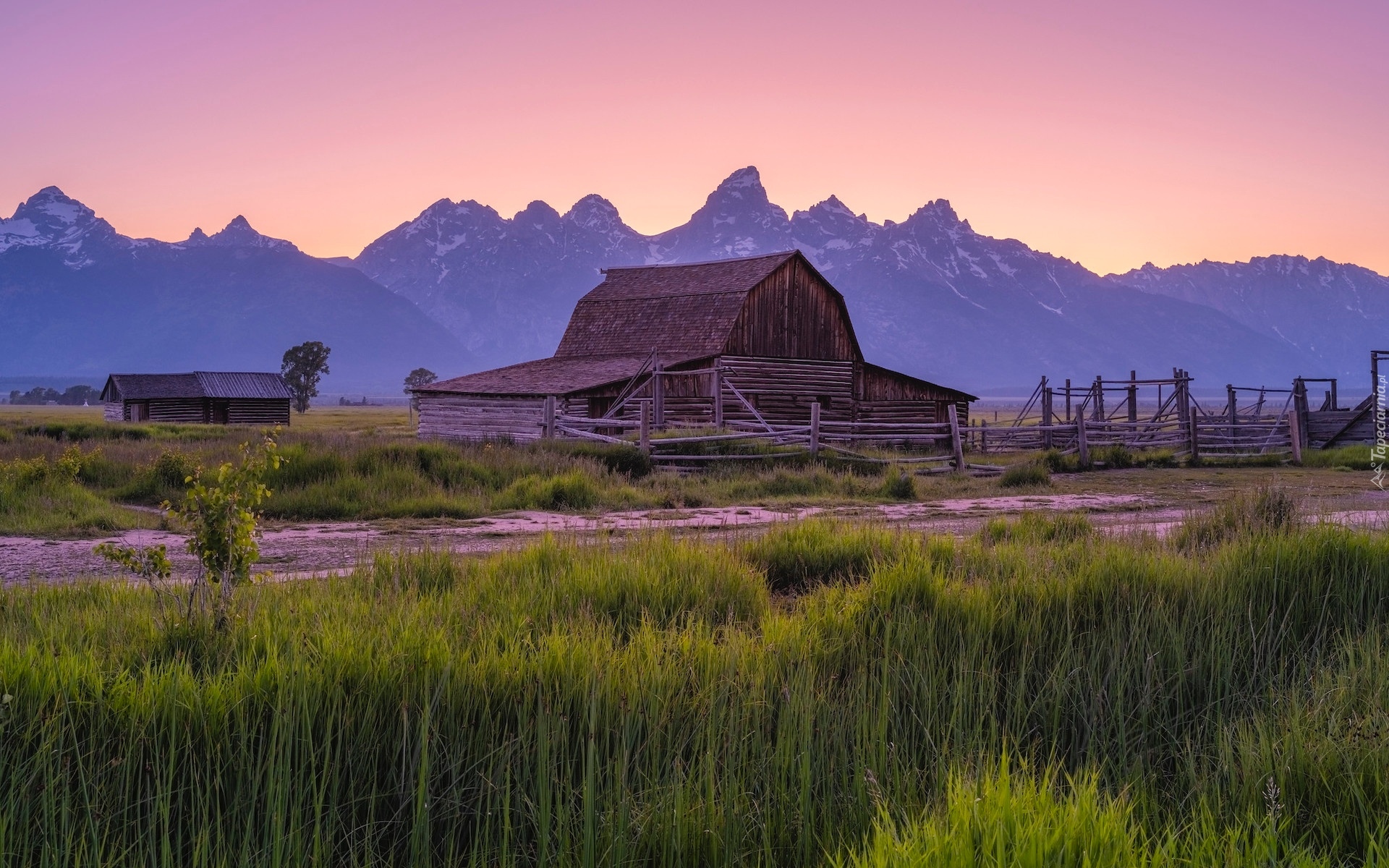 Stany Zjednoczone, Wyoming, Park Narodowy Grand Teton, Góry, Chata, Drzewa, Ogrodzenie, Trawa