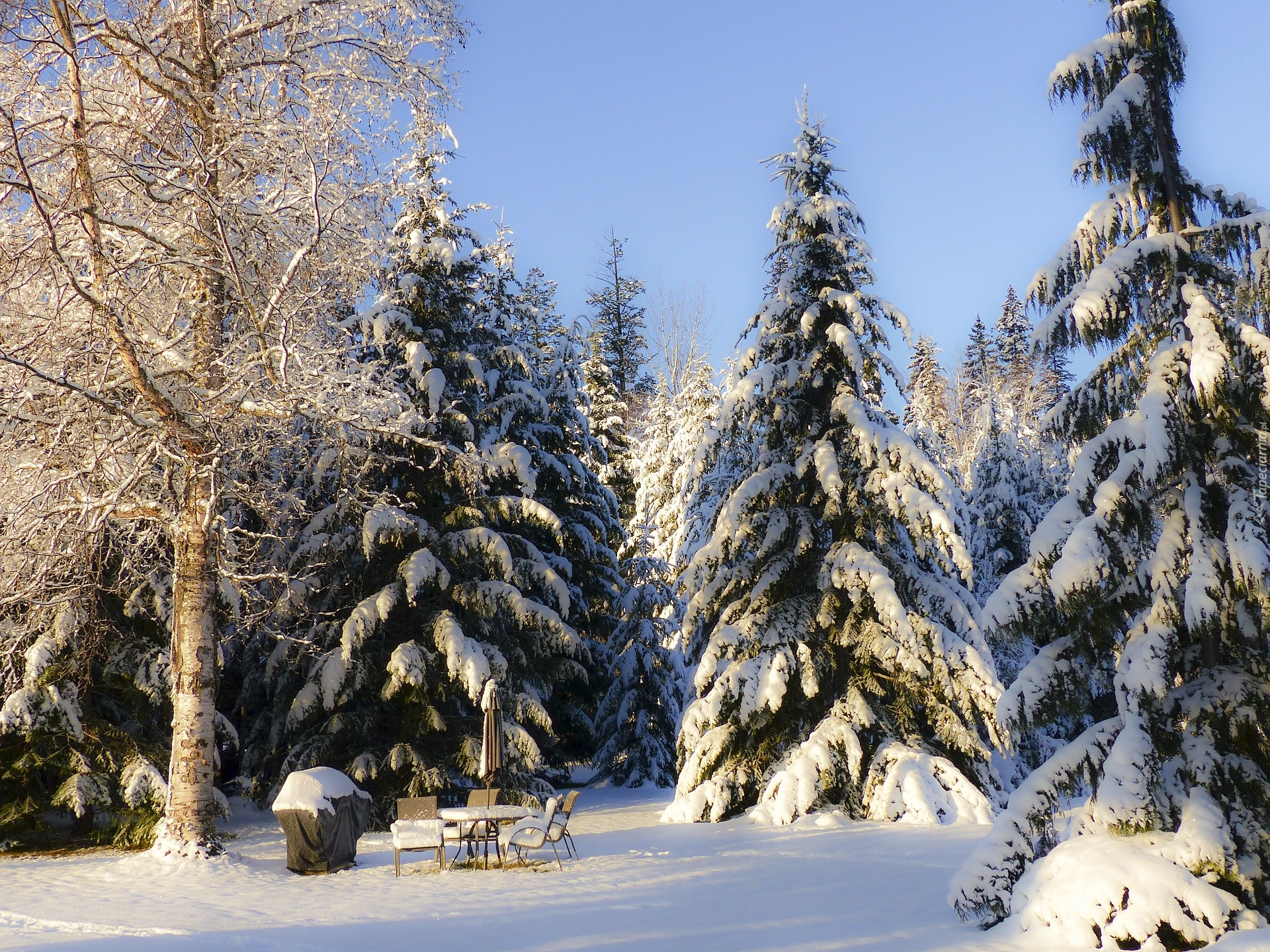 Zima, Śnieg, Drzewa, Las, Polana, Stolik, Krzesła, Słoneczny blask