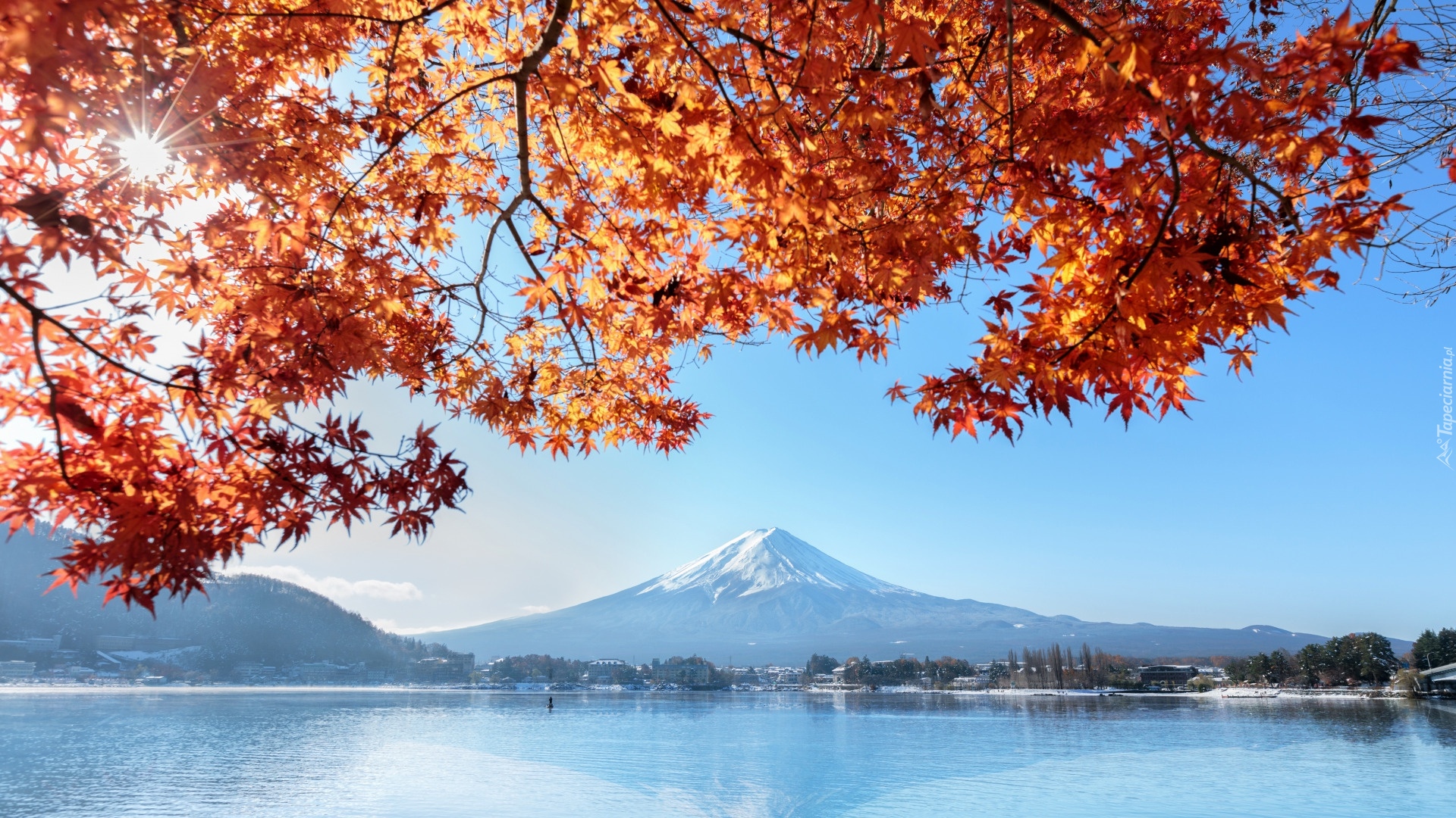 Stratowulkan, Fuji, Fudżi, Góra, Jezioro, Gałęzie, Liście, Honsiu, Japonia