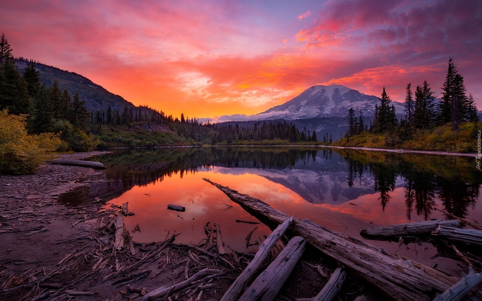 Stany Zjednoczone, Waszyngton, Park Narodowy Mount Rainier, Góra, Stratowulkan Mount Rainier, Jezioro, Lasy, Drzewa, Kłody, Zachód słońca