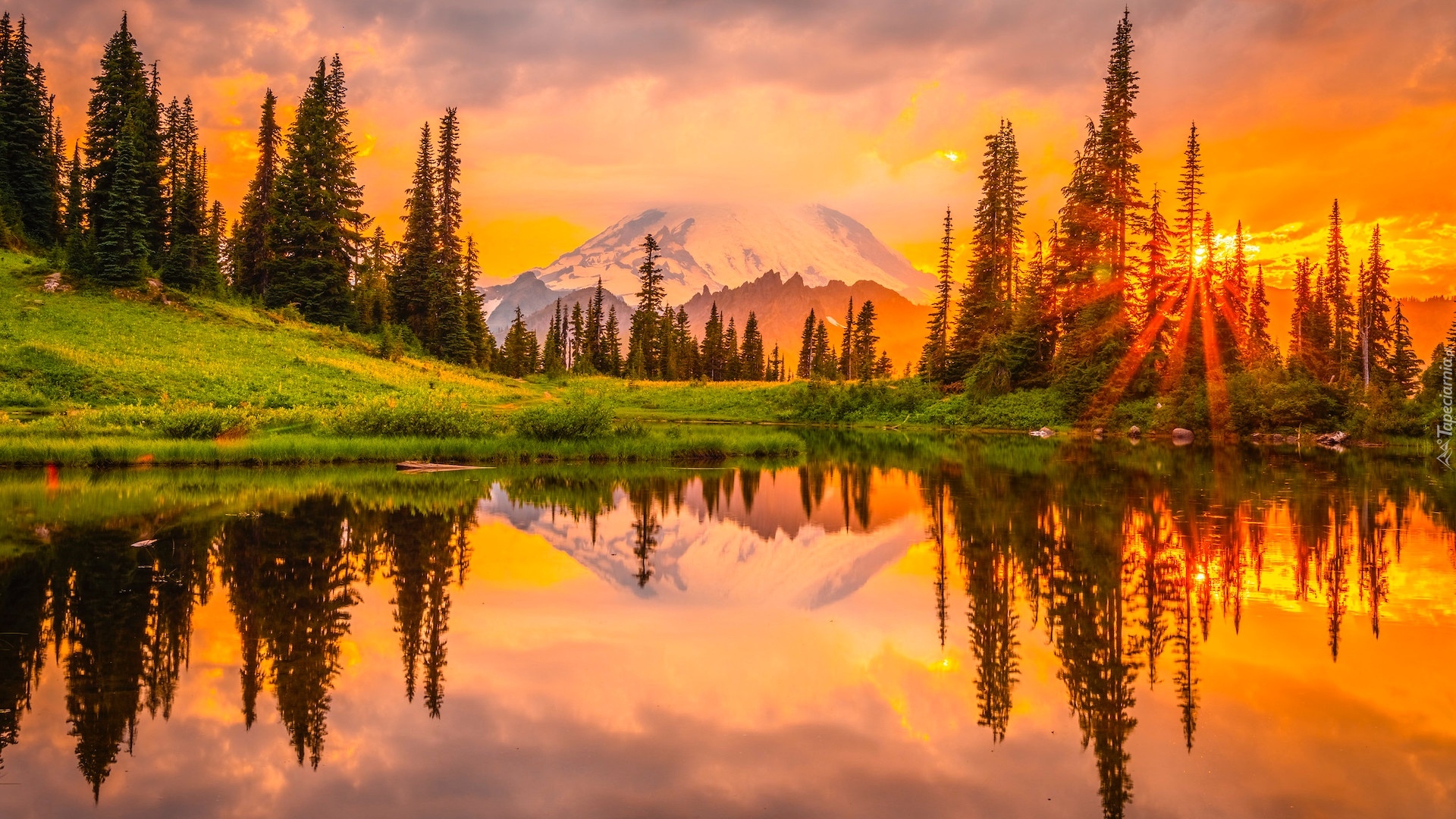 Zachód słońca, Stratowulkan Mount Rainier, Jezioro, Tipsoo Lake, Waszyngton, Stany Zjednoczone, Drzewa, Odbicie, Promienie słońca