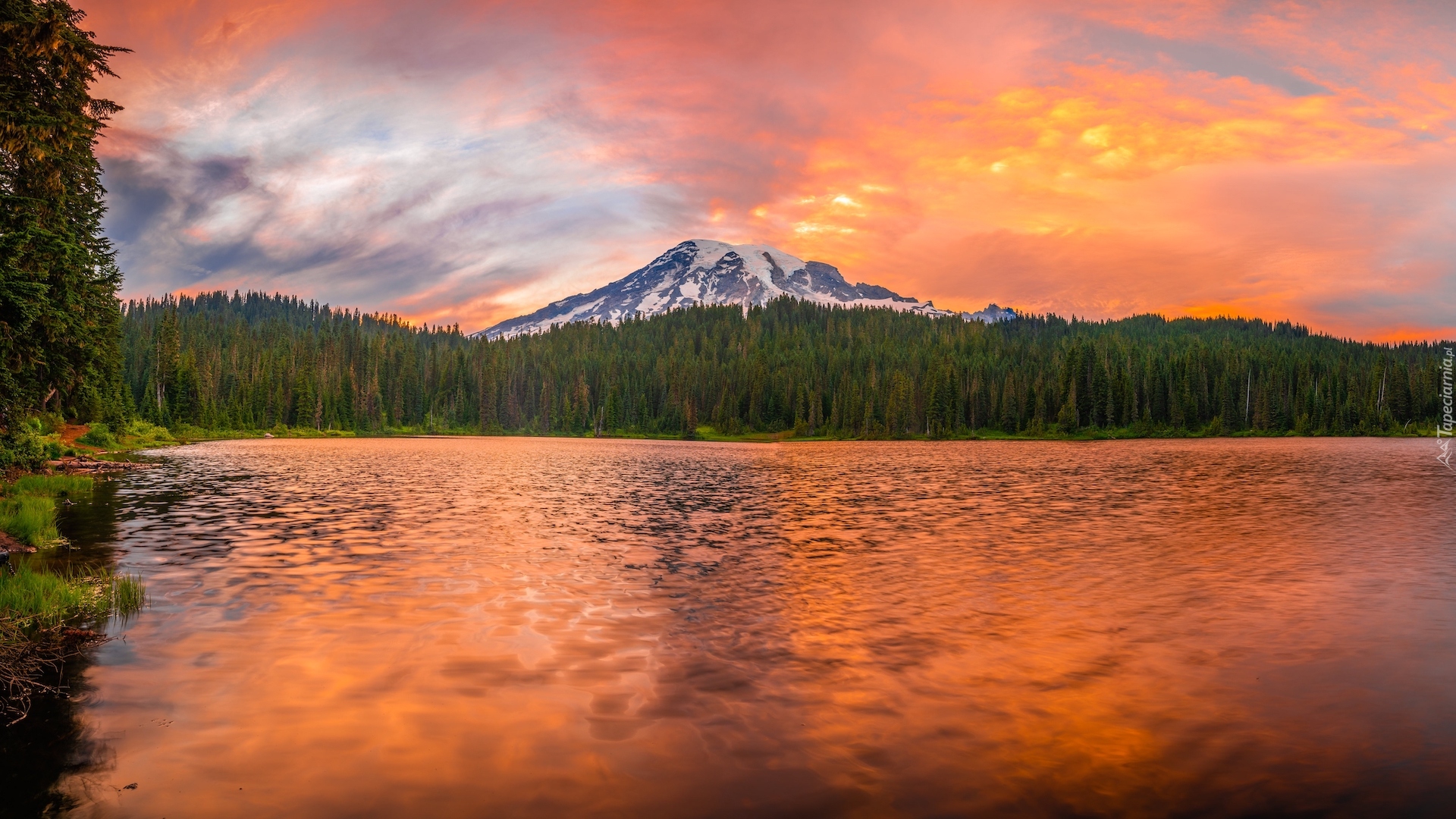 Jezioro, Góra, Stratowulkan Mount Rainier, Drzewa, Odbicie, Park Narodowy Mount Rainier, Stan Waszyngton, Stany Zjednoczone