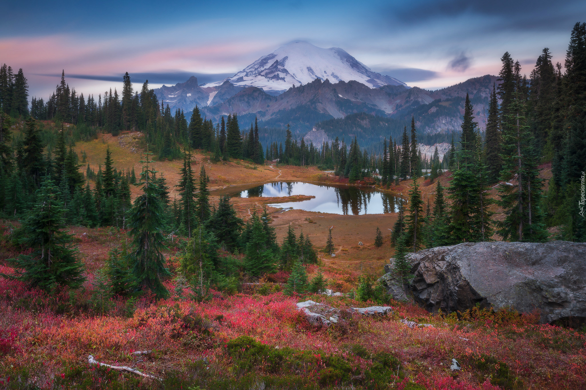 Park Narodowy Mount Rainier, Góry, Stratowulkan Mount Rainier, Drzewa, Jezioro Tipsoo, Stan Waszyngton, Stany Zjednoczone