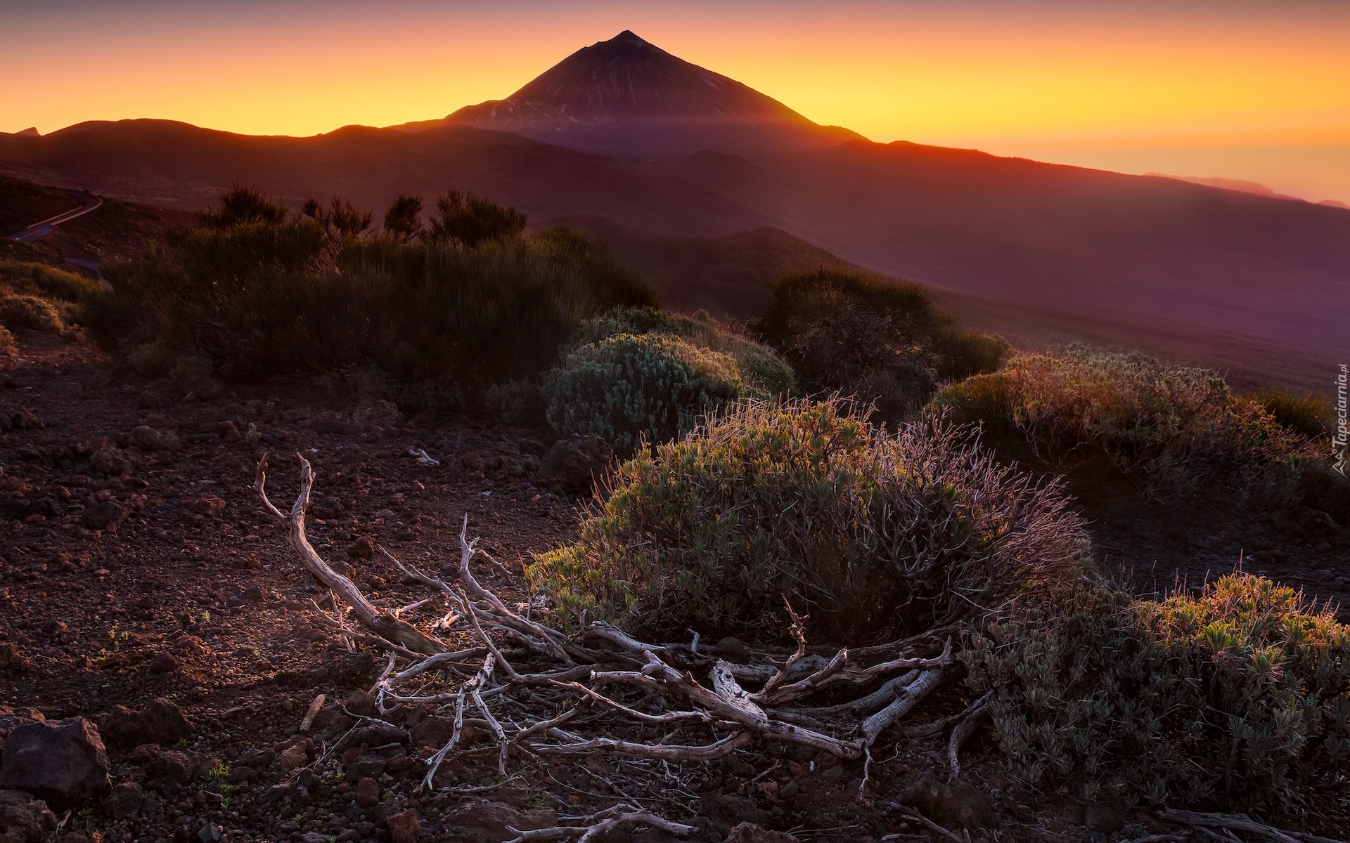 Hiszpania, Teneryfa, Góra, Wulkan, Teide, Konary, Zachód słońca