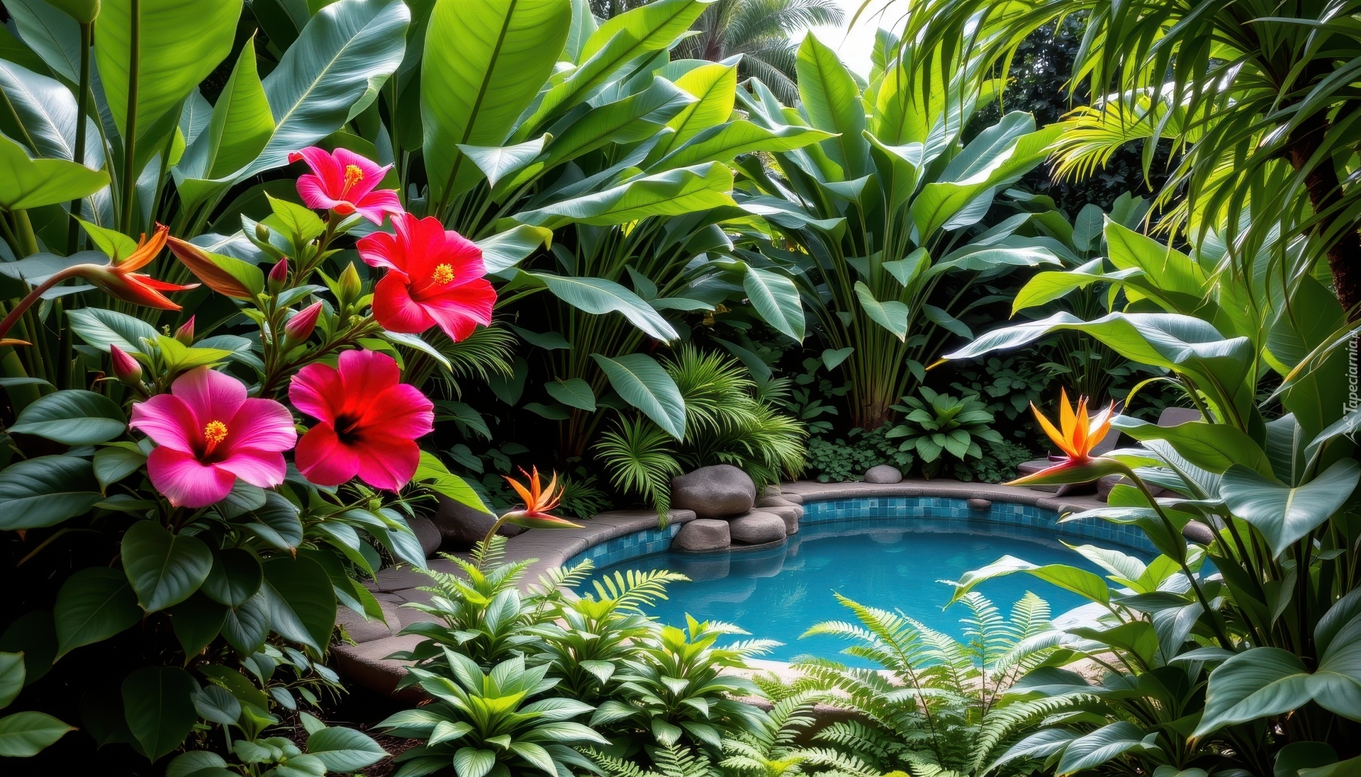 Ogród, Oczko wodne, Kwiaty, Czerwone, Strelicje, Paprocie, Liście, AI