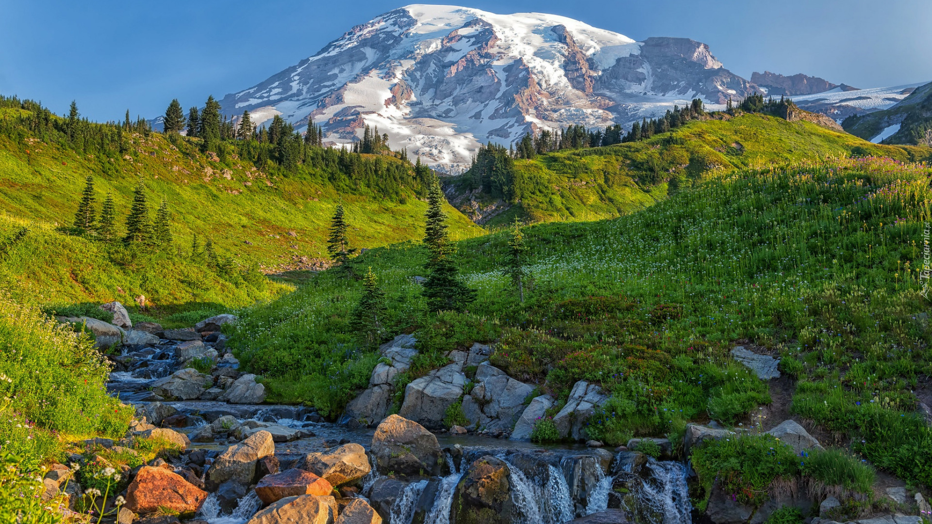 Góry, Stratowulkan, Mount Rainer, Łąka, Kamienie, Strumień, Rzeka, Edith Creek, Park Narodowy Mount Rainier, Stan Waszyngton, Stany Zjednoczone