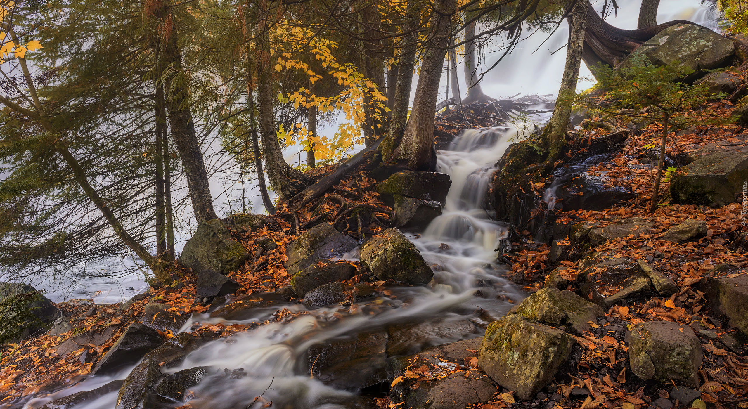 Drzewa, Kamienie, Strumyk, Wodospad, Bond Falls, Michigan, Stany Zjednoczone