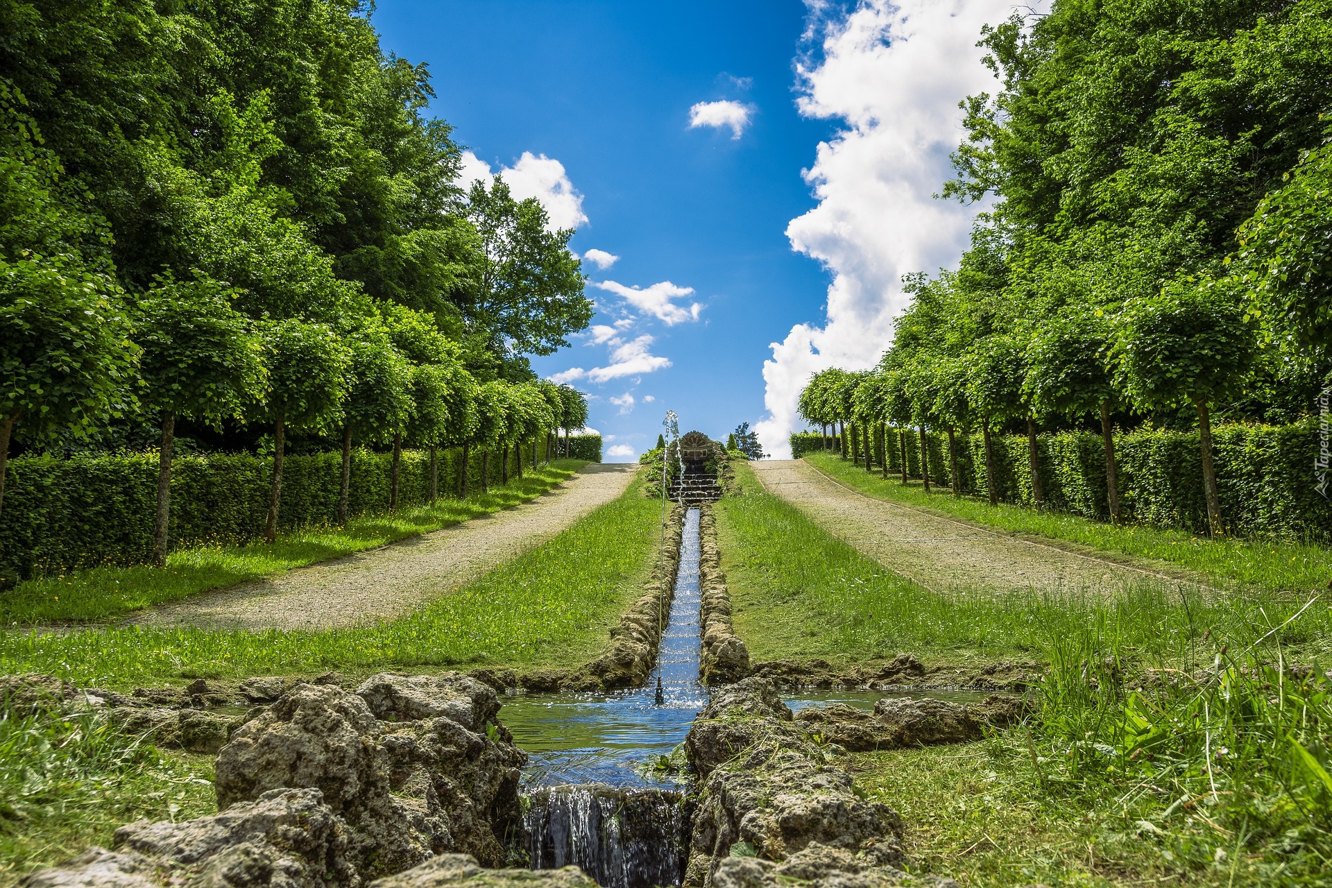 Park, Żywopłot, Drzewa, Strumień