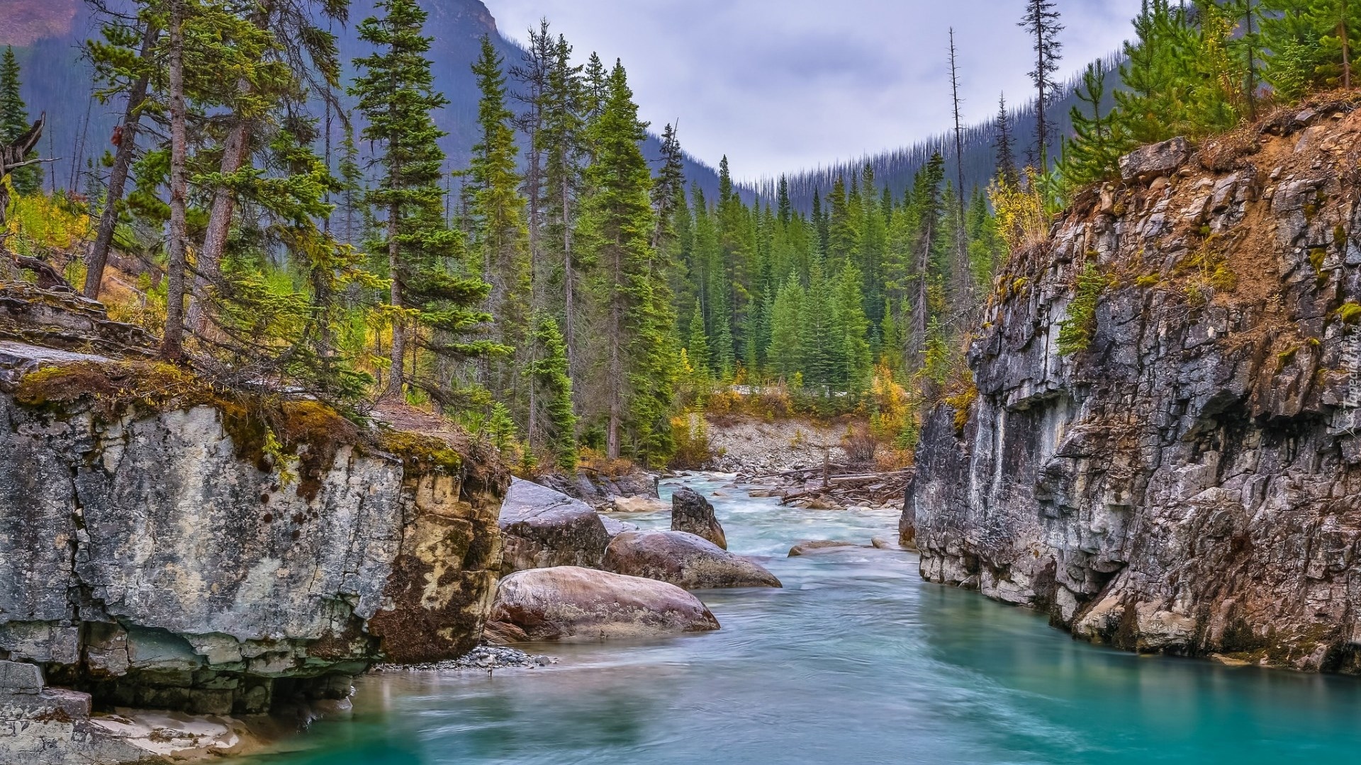 Park Narodowy Kootenay, Prowincja Kolumbia Brytyjska, Kanada, Strumień Tokumm Creek, Rzeka, Park prowincjonalny Marble Canyon, Skały, Góry, Drzewa, Kamienie