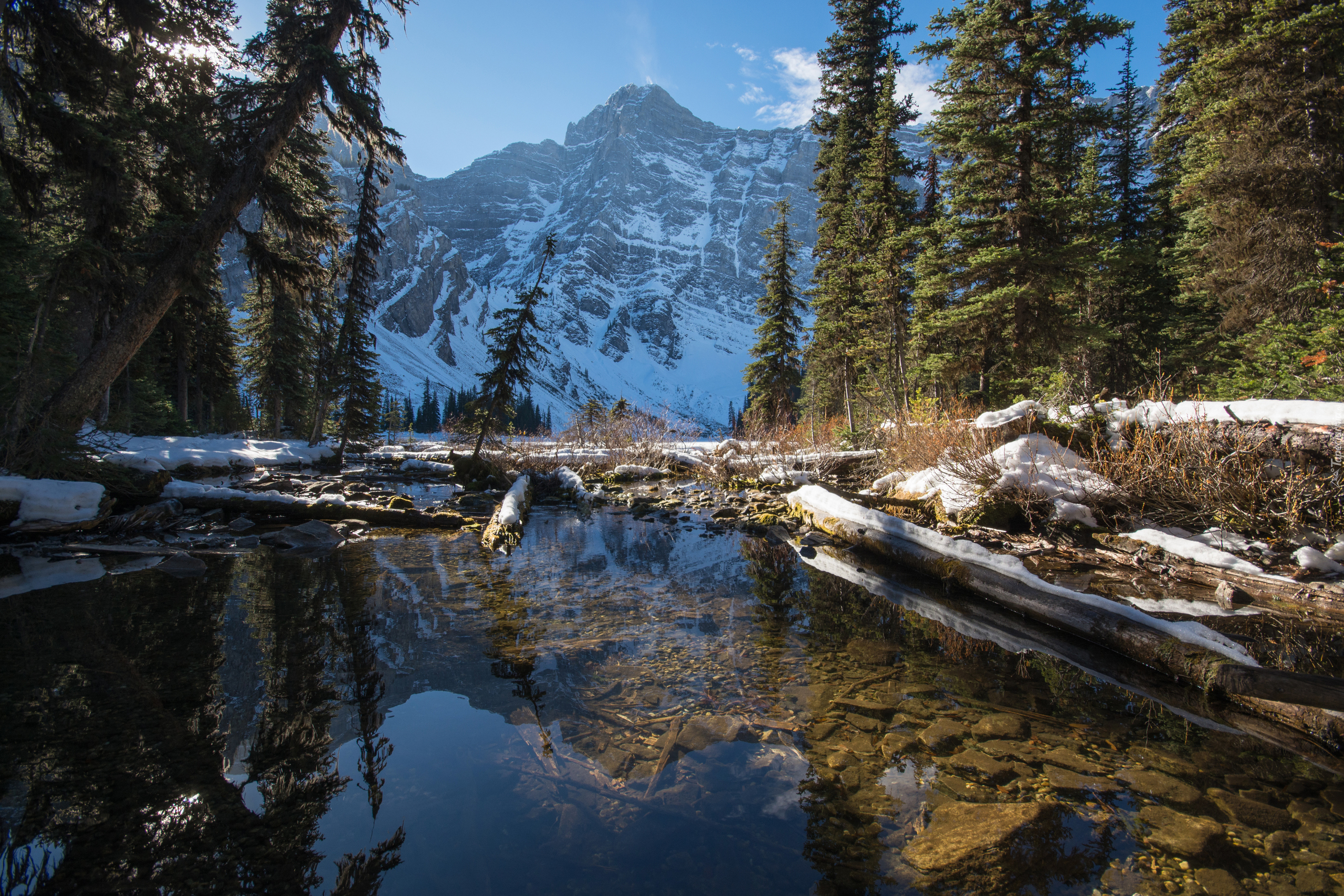 Kanada, Alberta, Kananaskis Country, Góry Canadian Rockies, Góra Mount Sarrail, Strumień, Drzewa