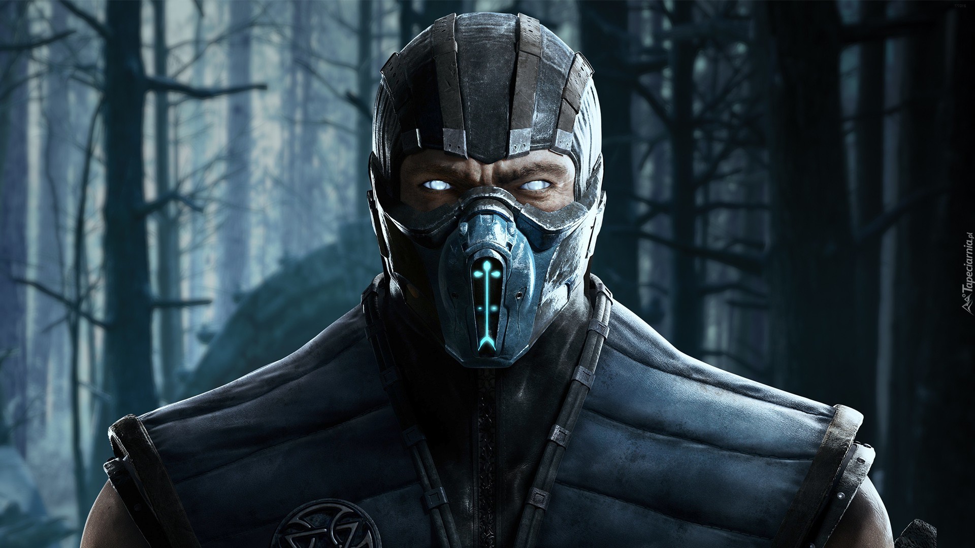 Wojownik, Sub-zero, Gra, Mortal Kombat