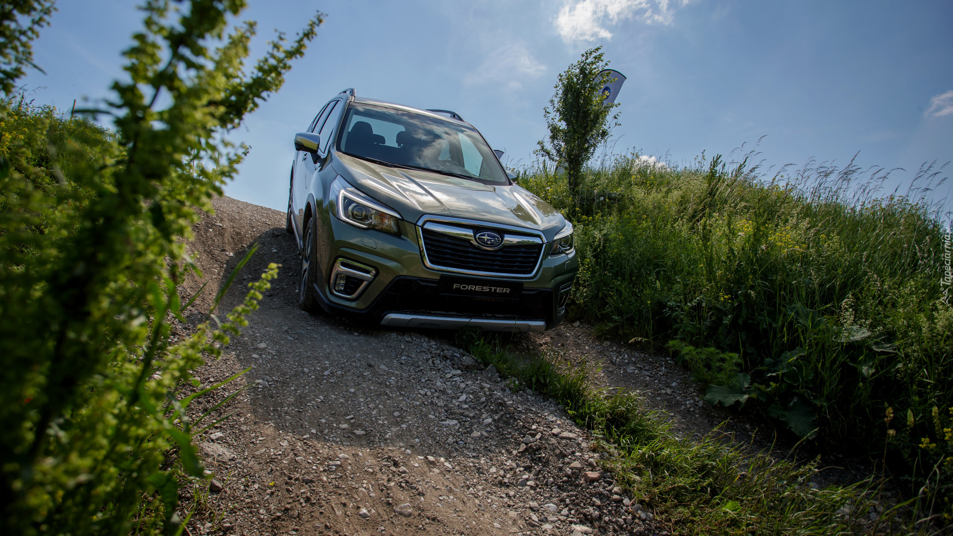 Subaru Forester na pochyłej polnej drodze